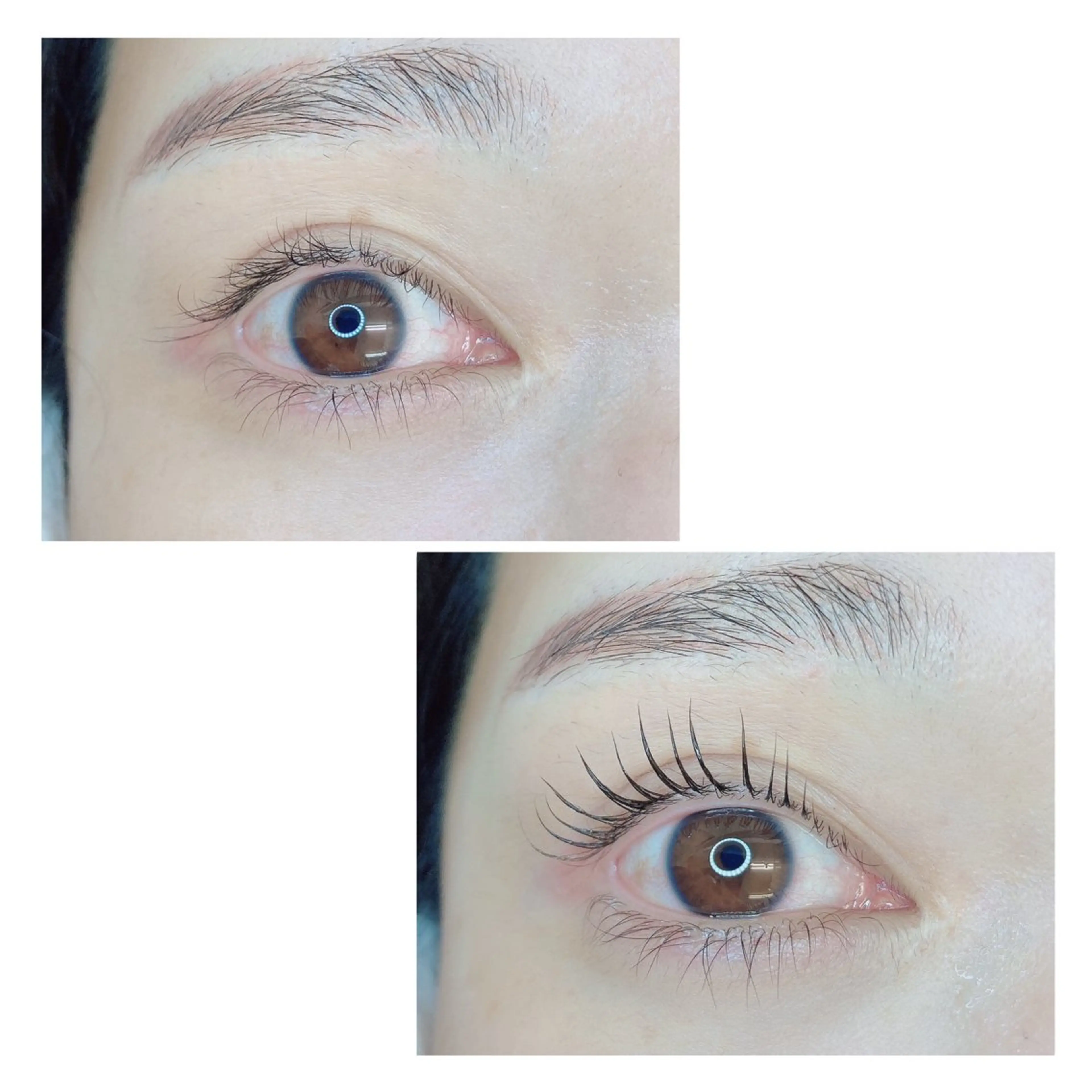 マツエク・マツパ TIARA池袋西口店 店長YASUKA💐のマツエク・マツパデザイン