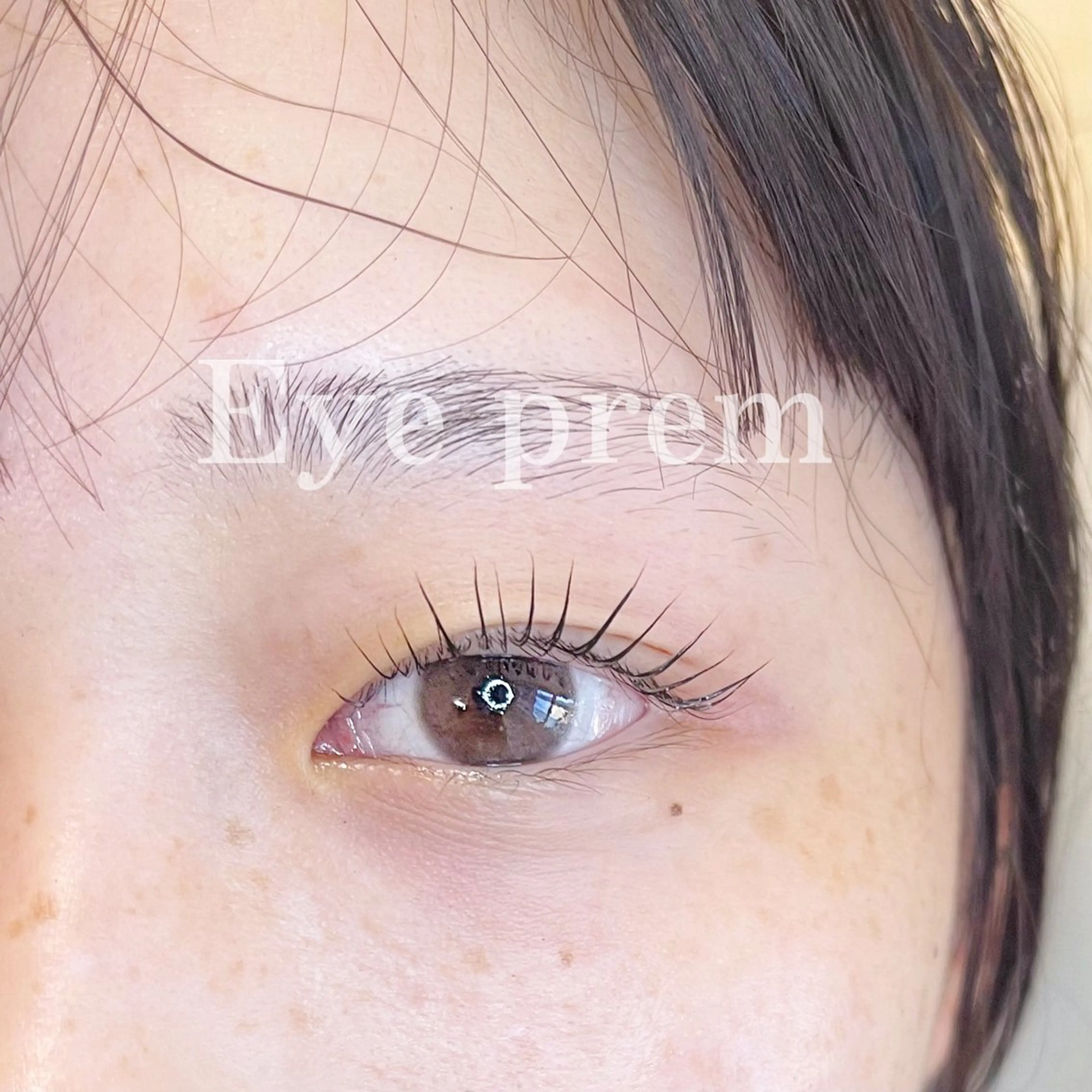 マツエク・マツパ Swallow 広島店のマツエク・マツパデザイン