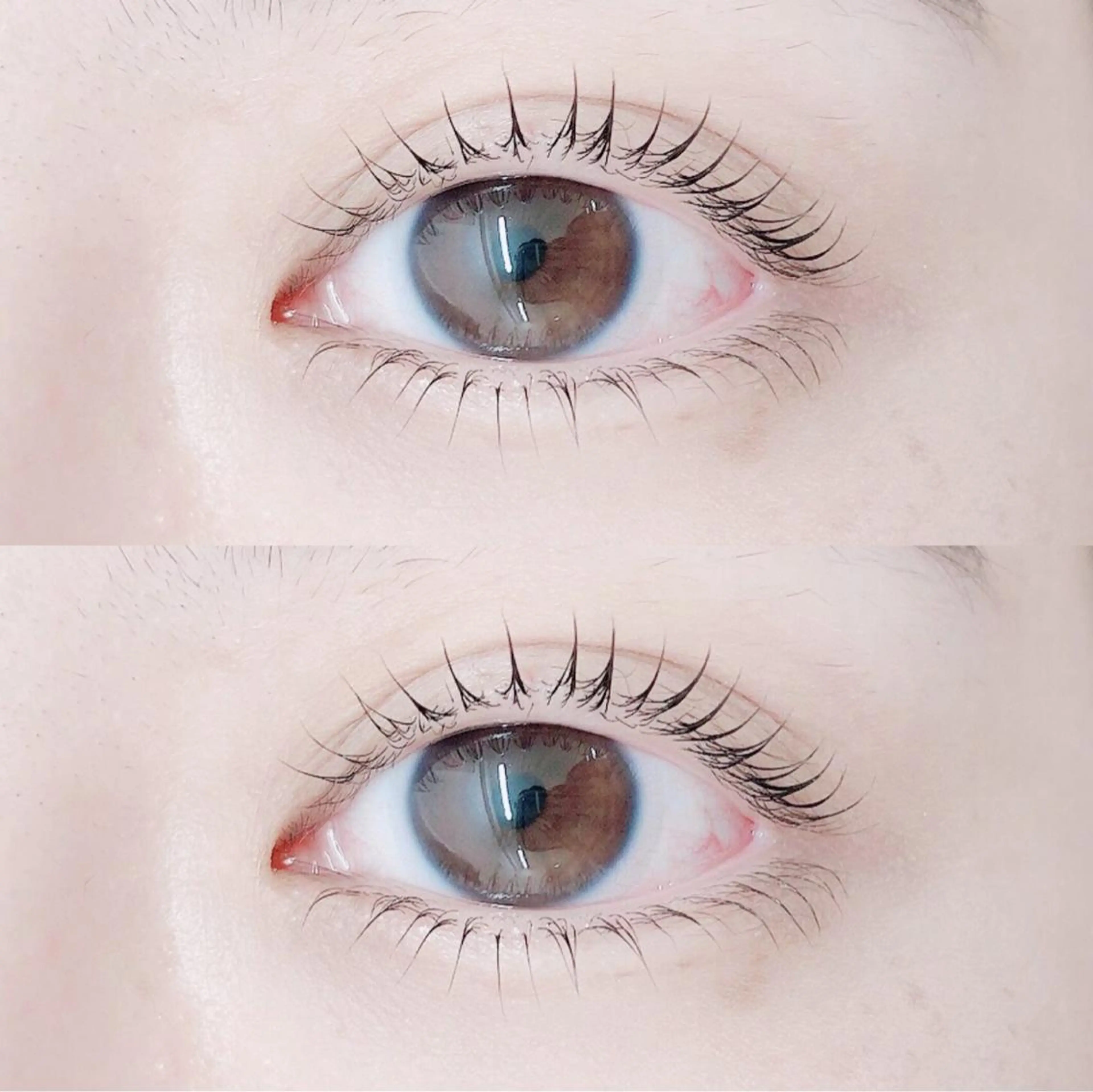 マツエク・マツパ 韓国風マツエク パリジェンヌラッシュリフト まつげパーマ 一重×まつ毛パーマ ワンホンマツエク マツパ eyelist 🌼 Mahoのマツエク・マツパデザイン