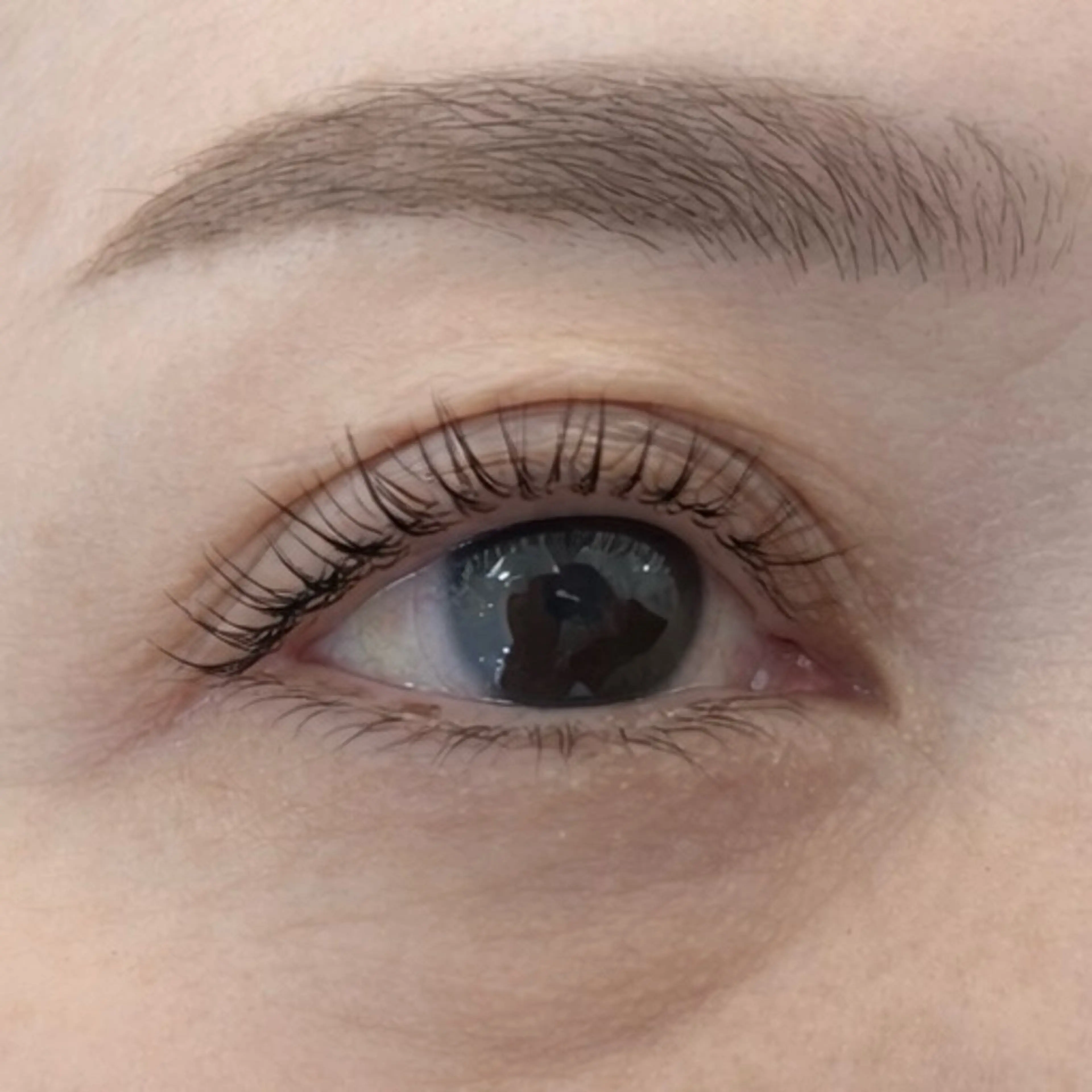 マツエク・マツパ Cカール ナチュラル 一重×まつ毛パーマ Pualice 船崎のマツエク・マツパデザイン