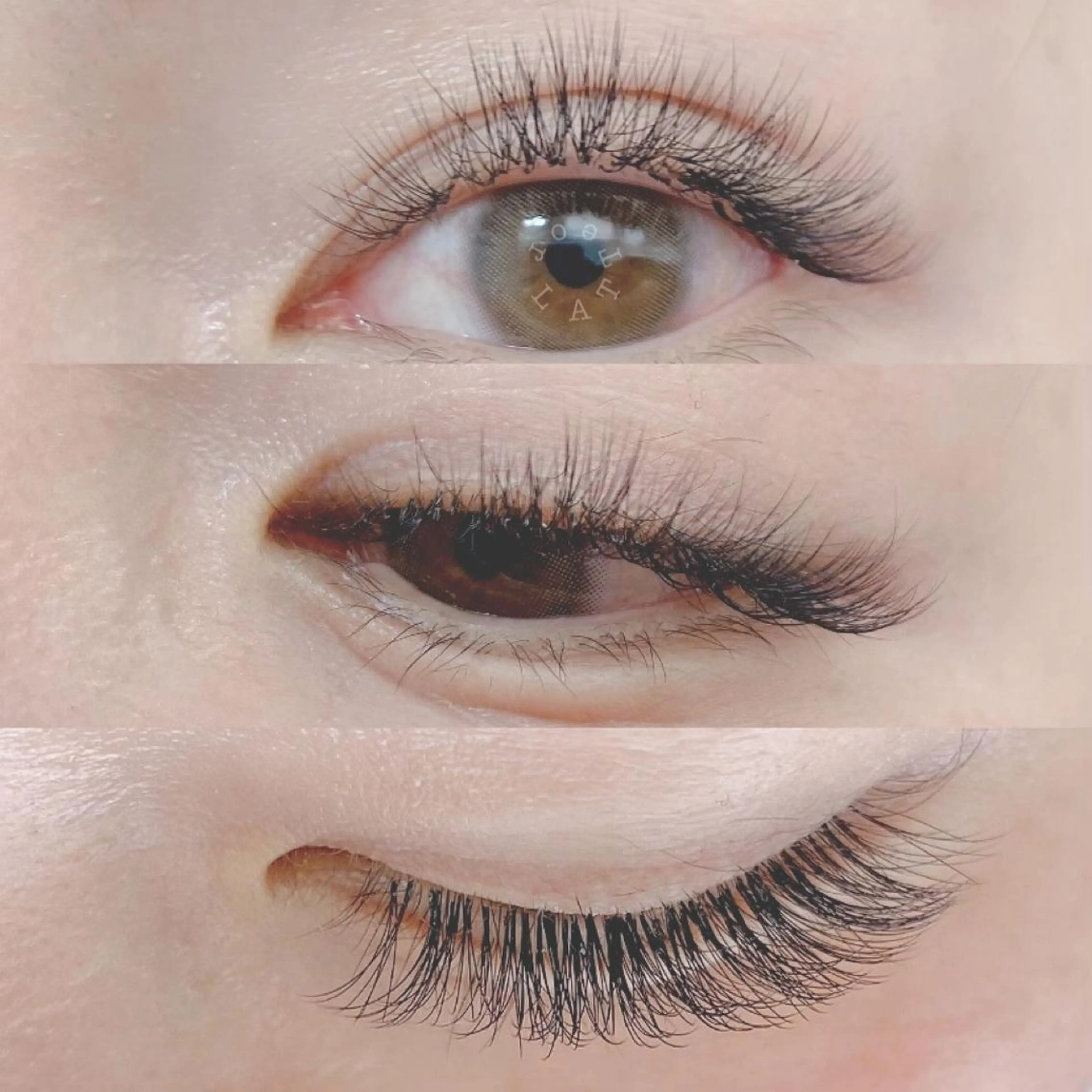 マツエク・マツパ or LATTe 仙台店のマツエク・マツパデザイン