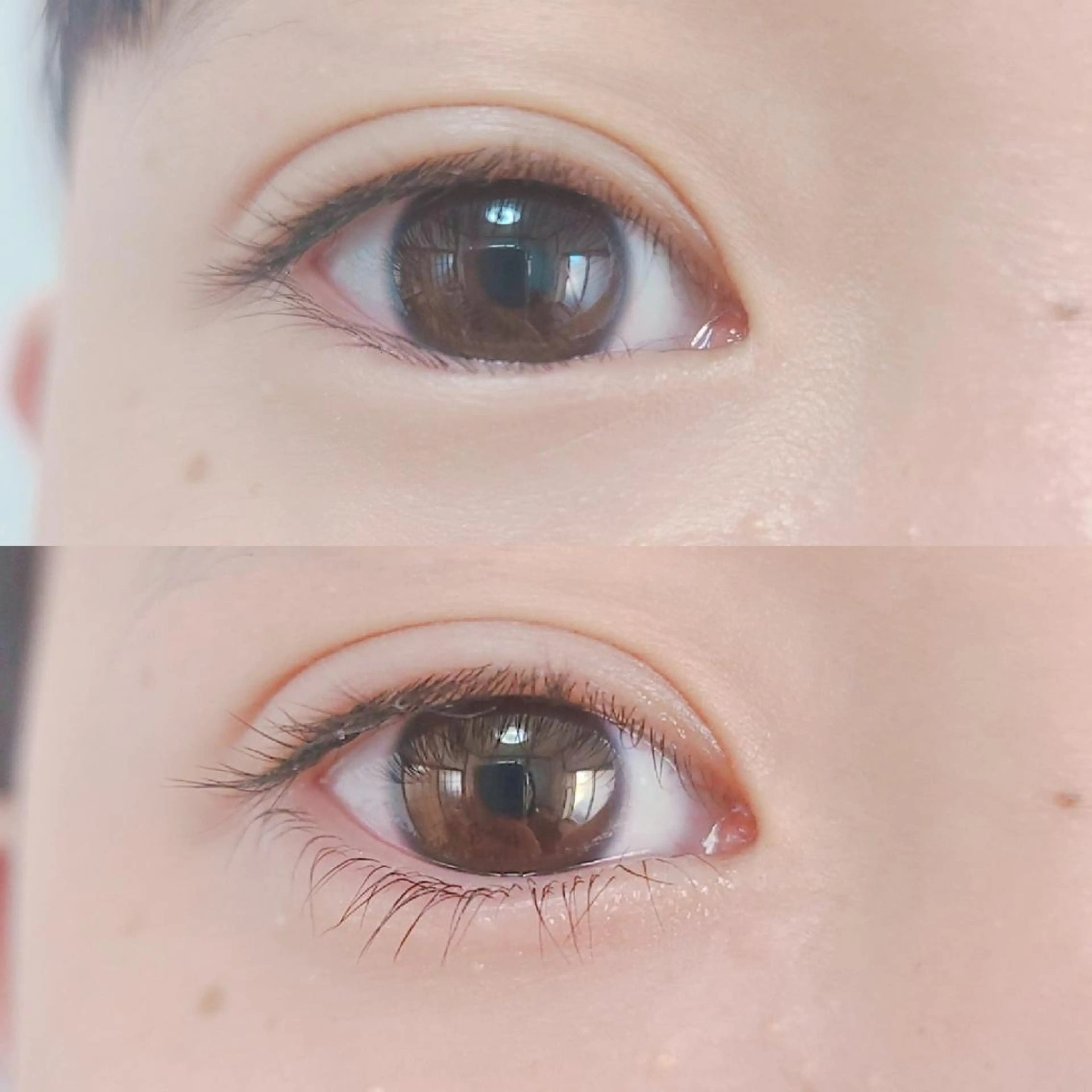 再来 アイリッド下のみの写真