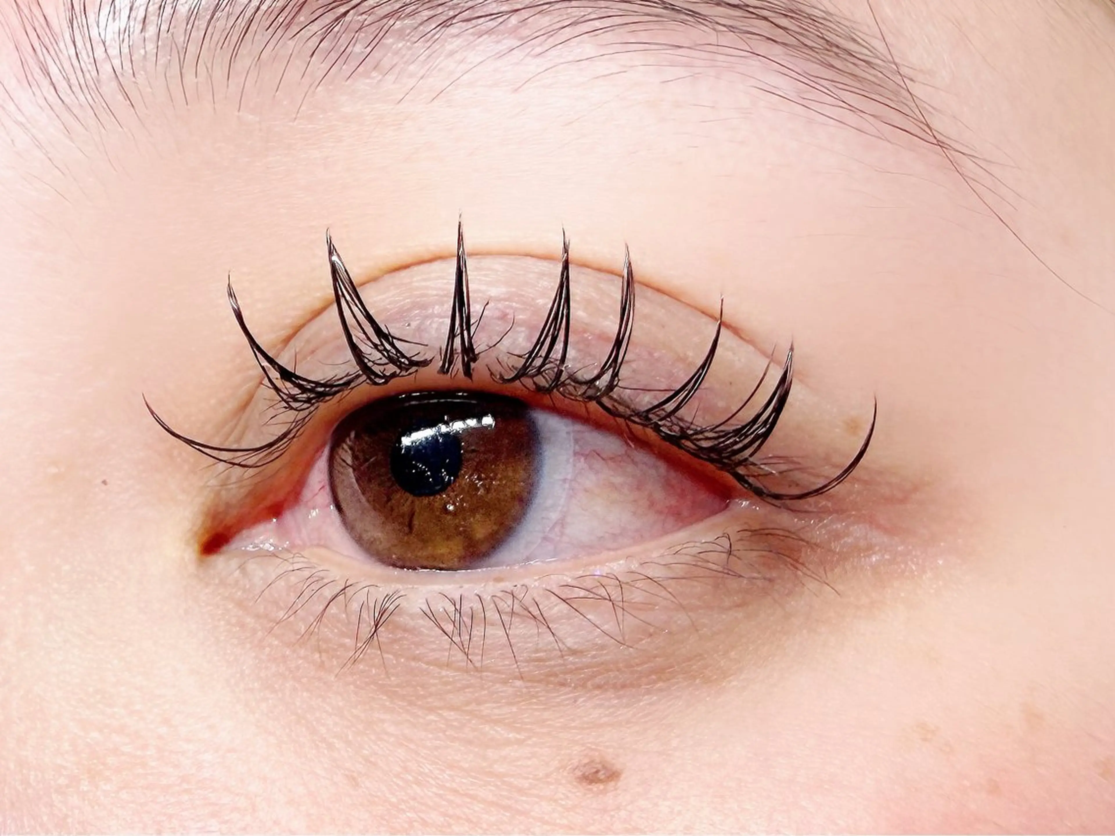 マツエク・マツパ 束感まつ毛 フラットラッシュ ナチュラル ボリュームラッシュ ワンホンマツエク マツエク Ｕi (うい)のマツエク・マツパデザイン