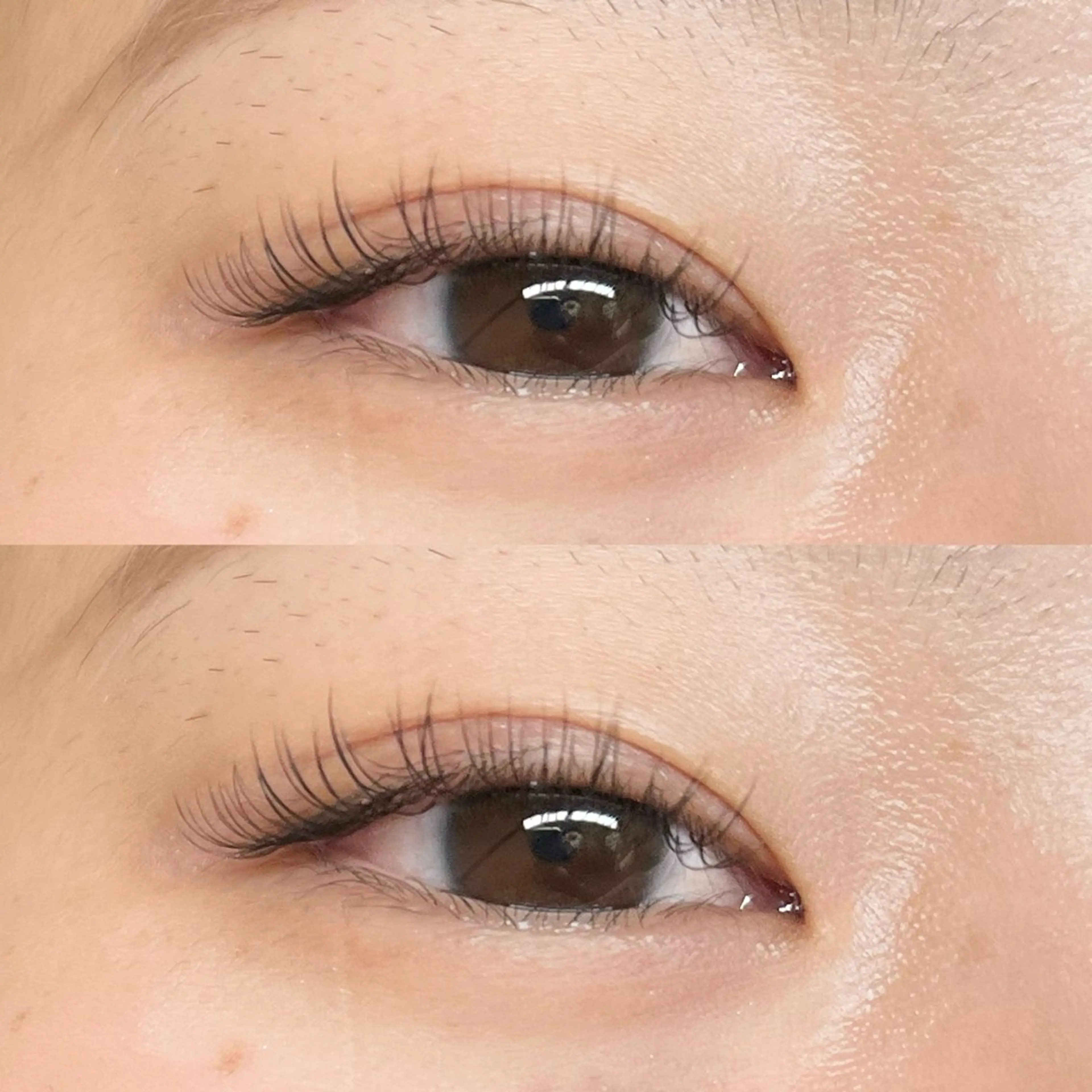 LEDマツエク⭐️フラットラッシュ100本❣️の写真