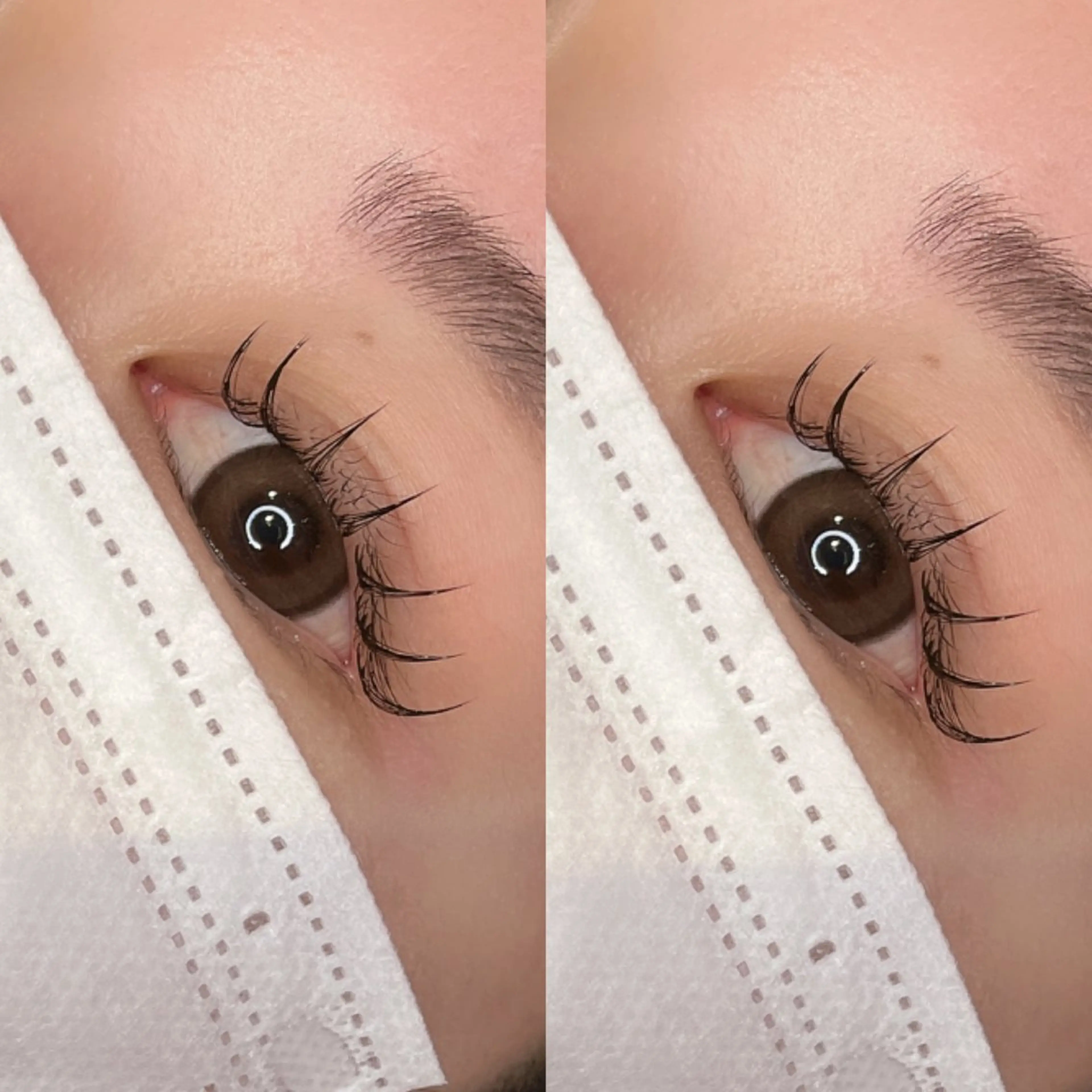 3D Lash 180本(60束)美容液で束感仕上げ🪄︎︎の写真
