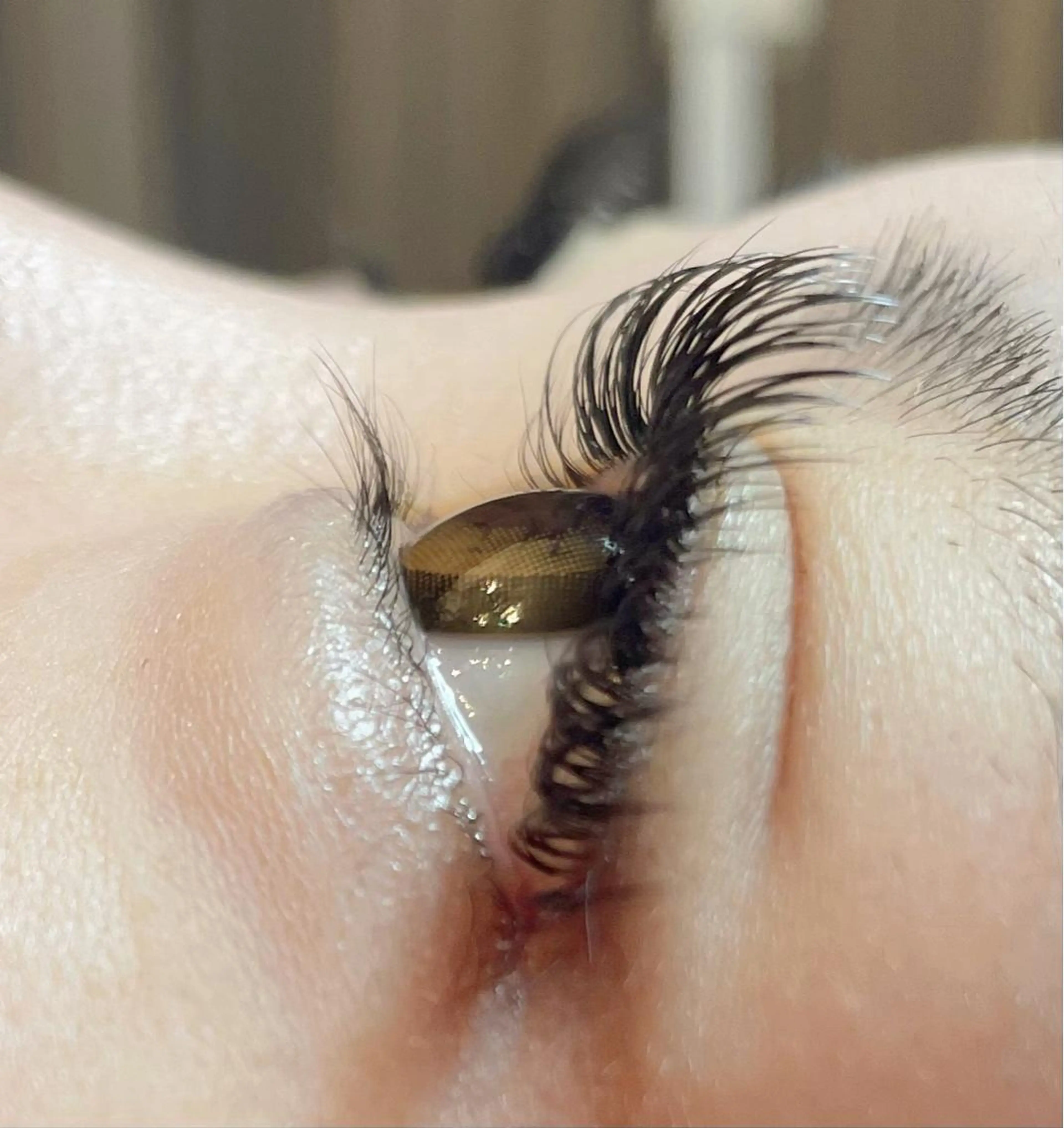 マツエク・マツパ パリジェンヌラッシュリフト princess 森 碧海のマツエク・マツパデザイン