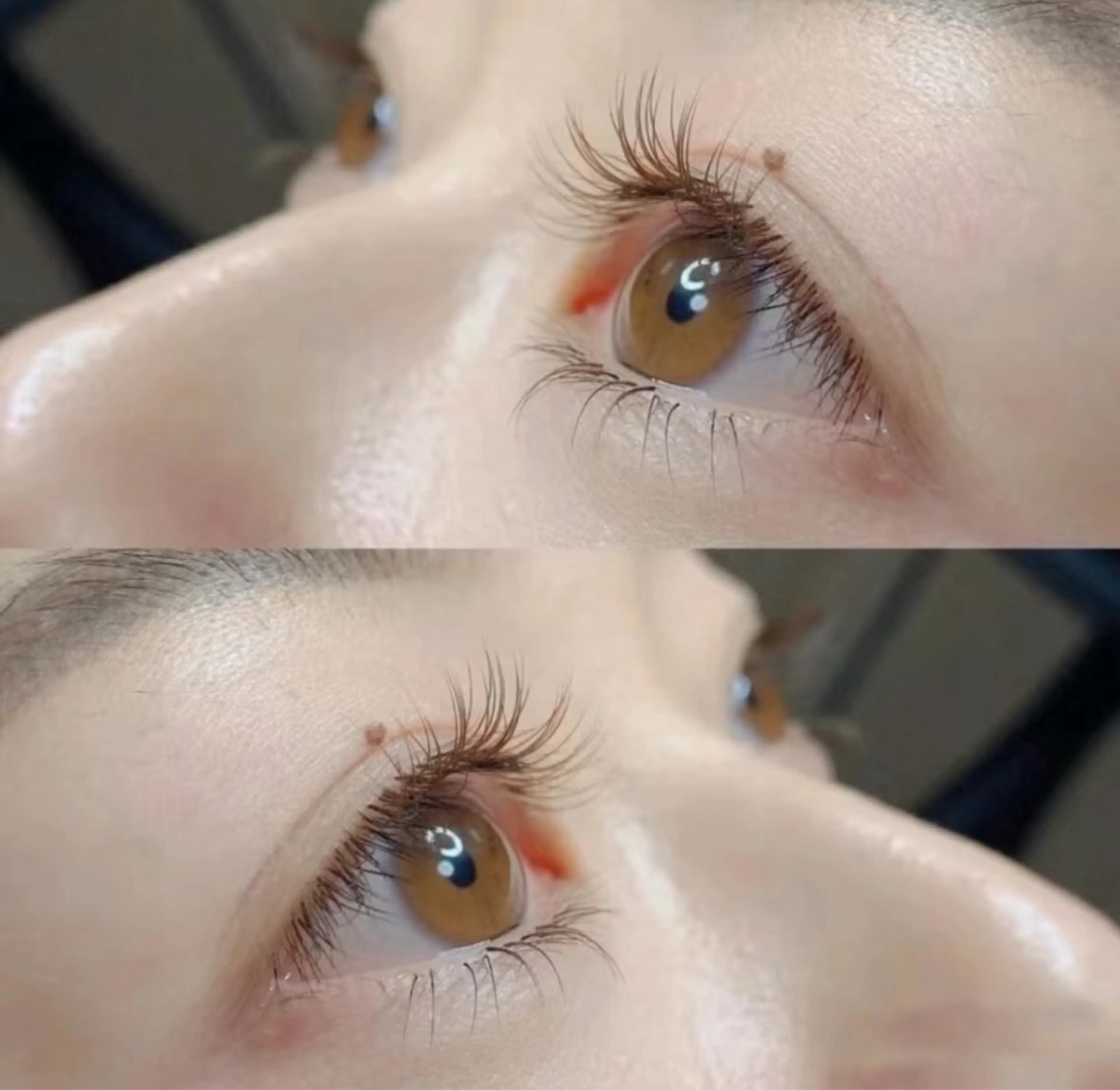 Y型フラットラッシュ100本キャラメル色 　4580円の写真