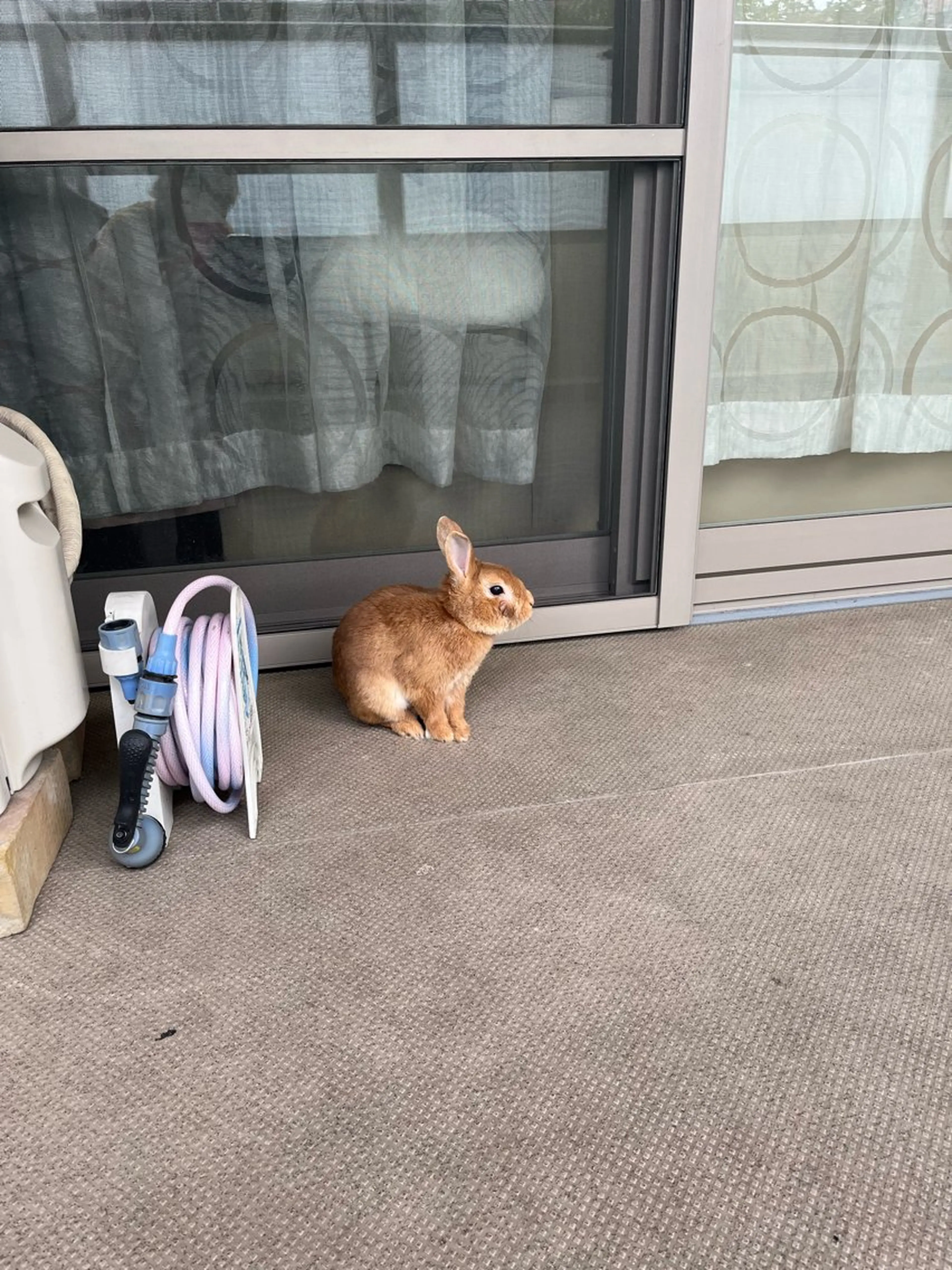 Sona hair & eyelash salon所属・紙屋 隼人のヘアスタイル