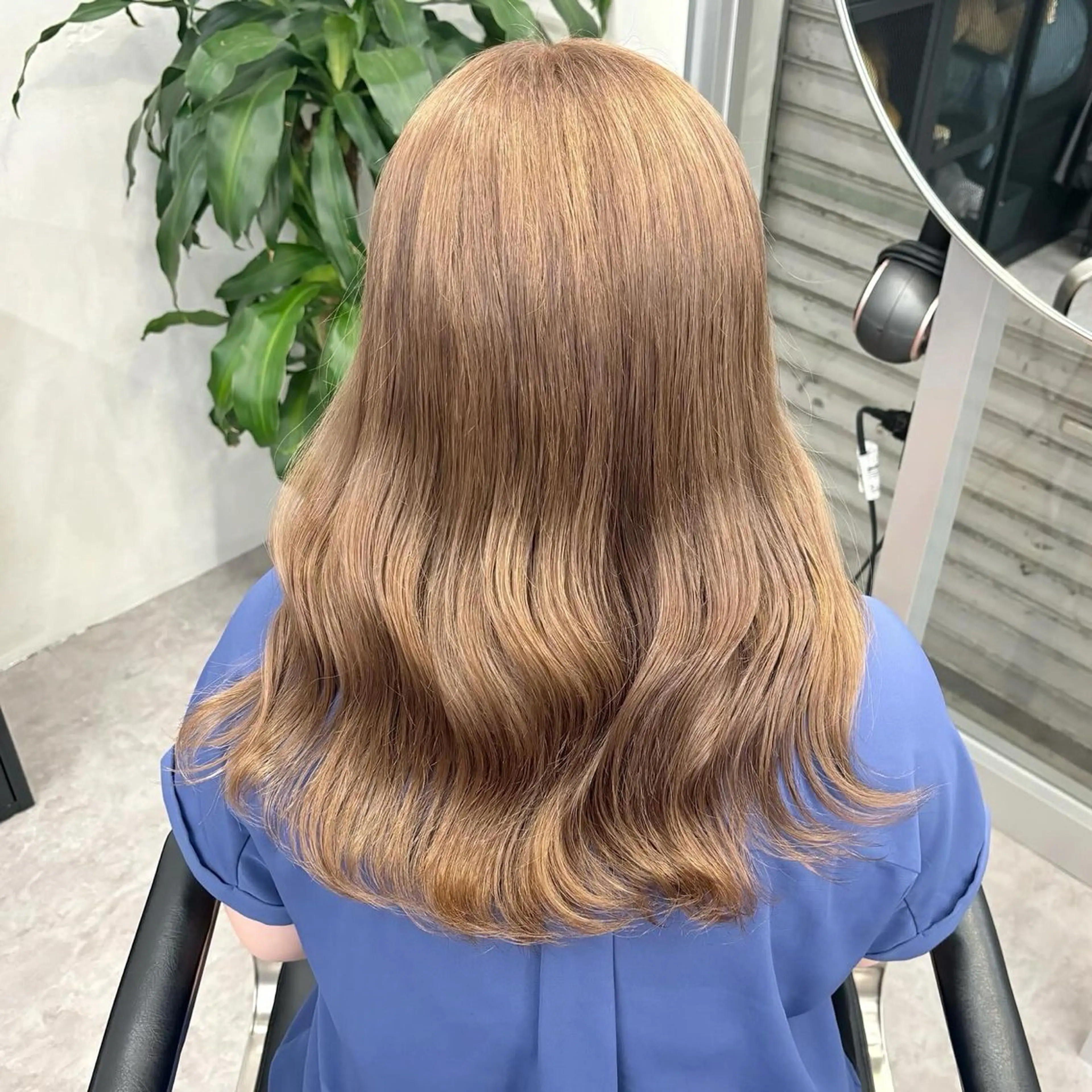 ミディアム カラー 苗代萌/ぷるツヤ髪 🫧／レイヤーカットのヘアスタイル