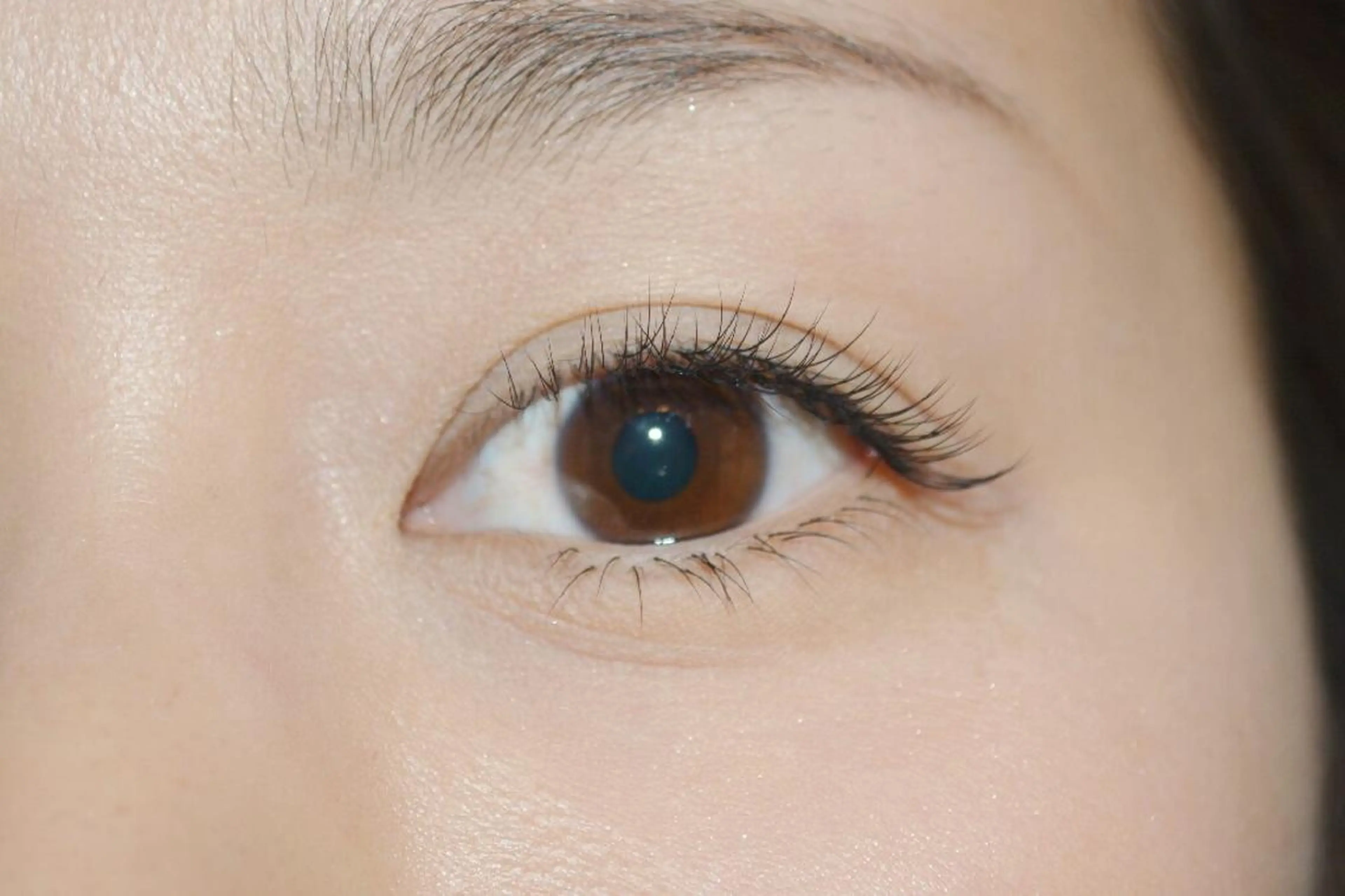 マツエク・マツパ 下まつげエクステ Lupinus 国立店のマツエク・マツパデザイン