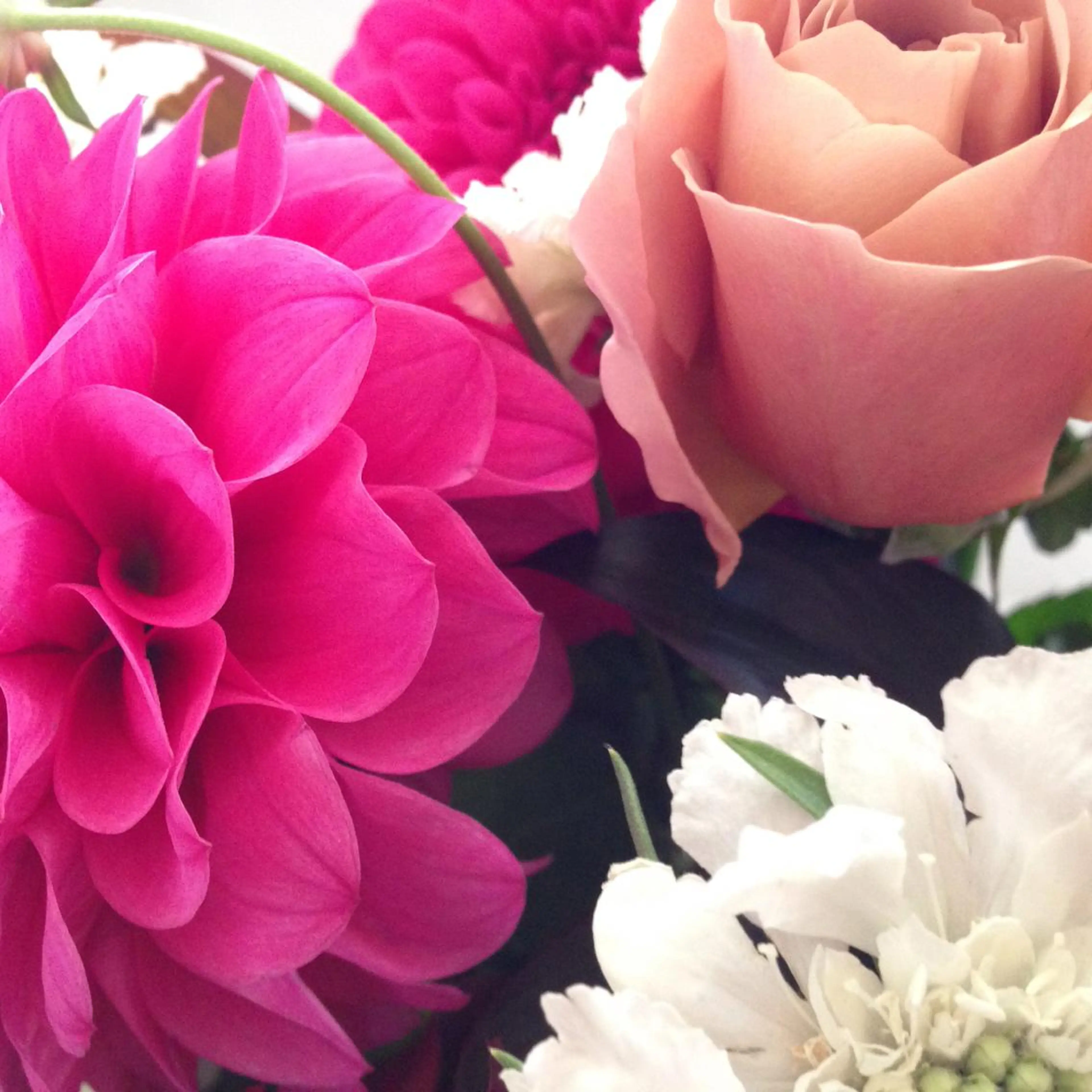 メナードフェイシャルサロン セレブリーナ本店所属・金澤 ゆう子のエステ・リラクイメージ