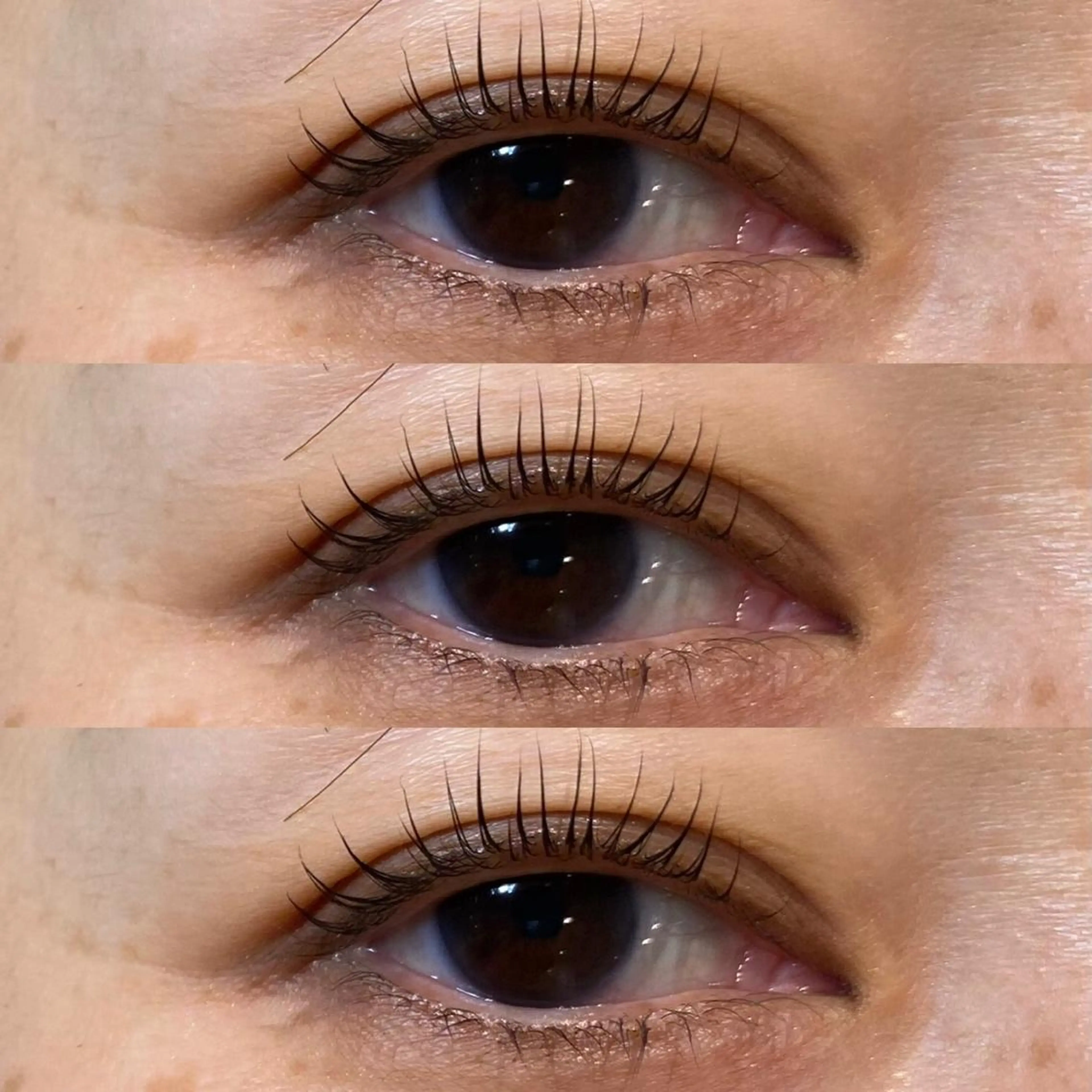 マツエク・マツパ WAVY藤沢店 🥥megumiのマツエク・マツパデザイン