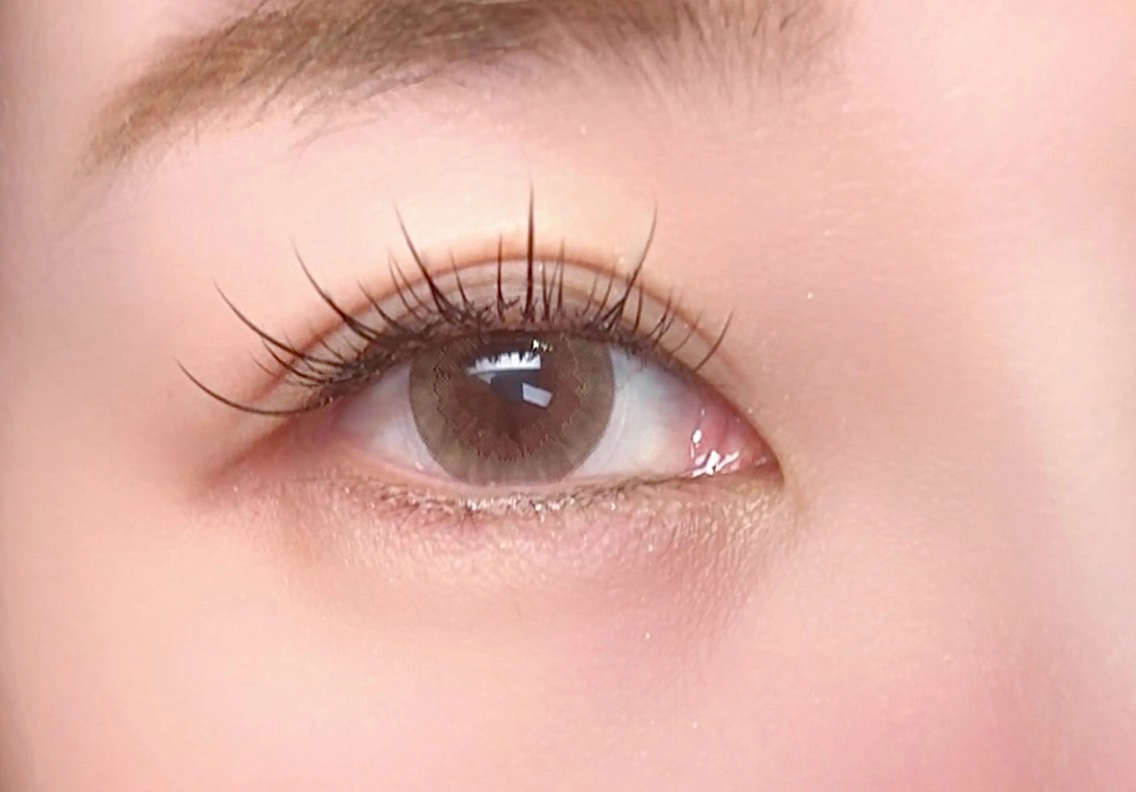 🌿5名限定🌿フラットラッシュLEDマツエク100本の写真