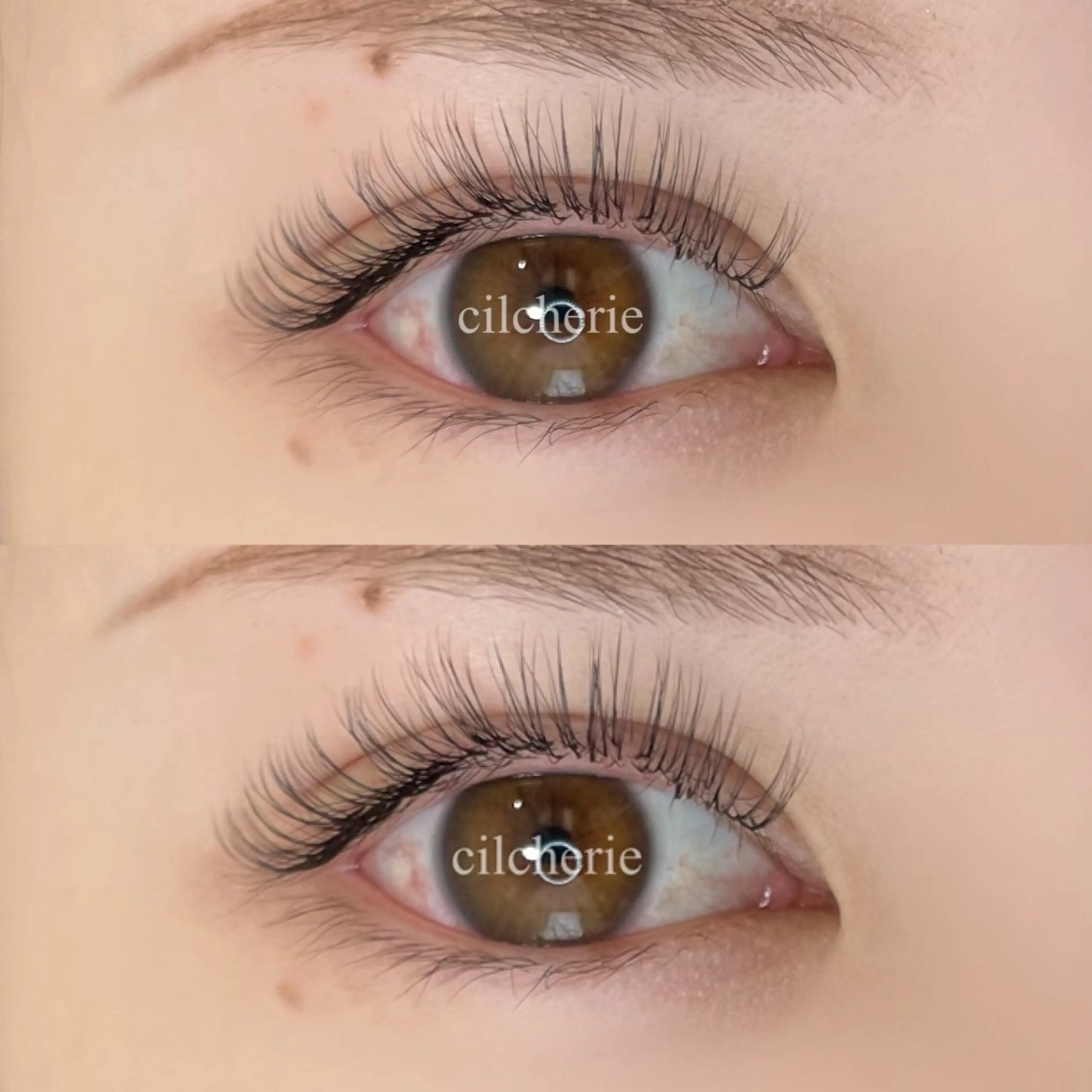 マツエク・マツパ ボリュームラッシュ cilcherie (シルシェリー)のマツエク・マツパデザイン