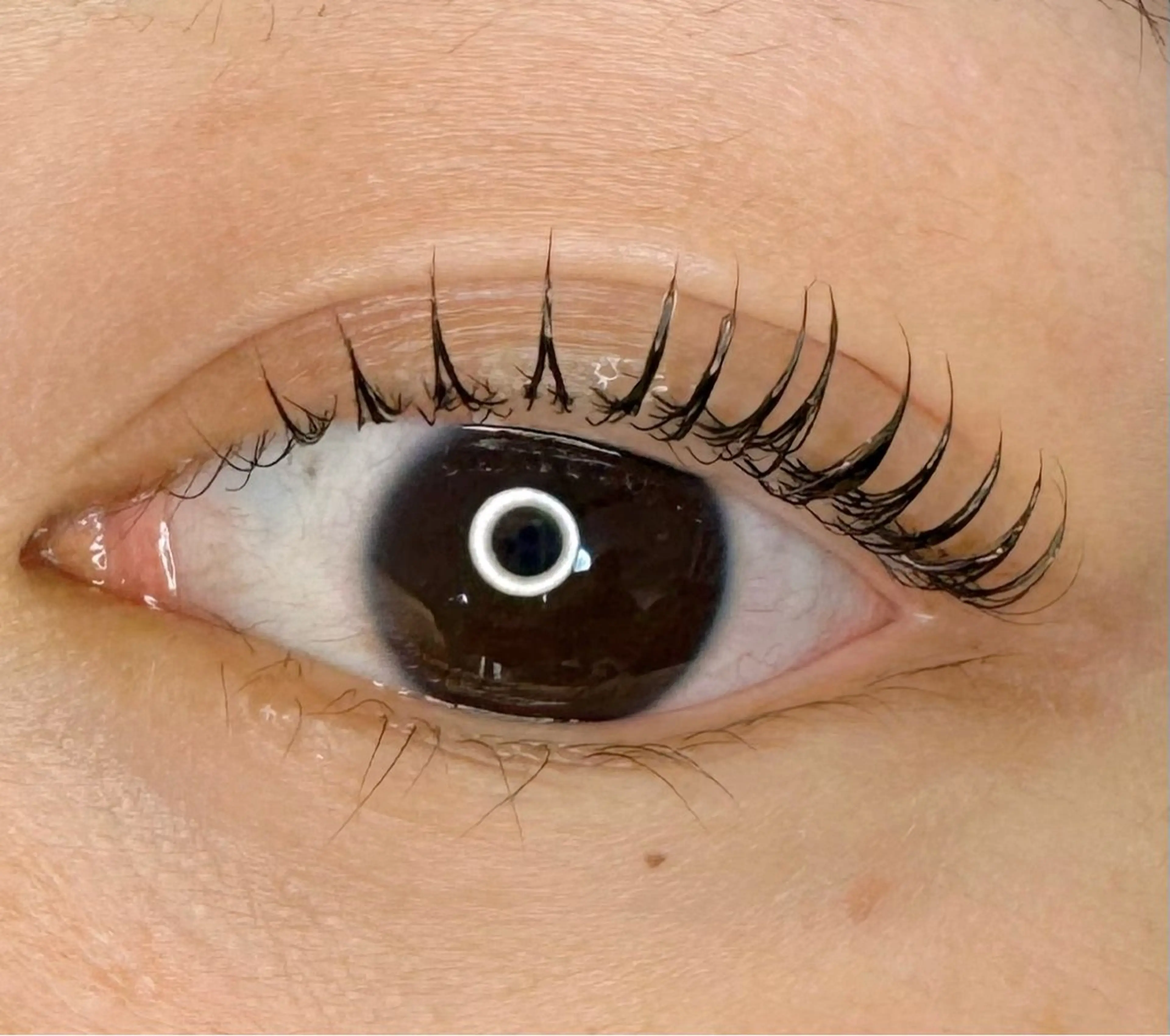 マツエク・マツパ lagoon eyelash津久野のマツエク・マツパデザイン