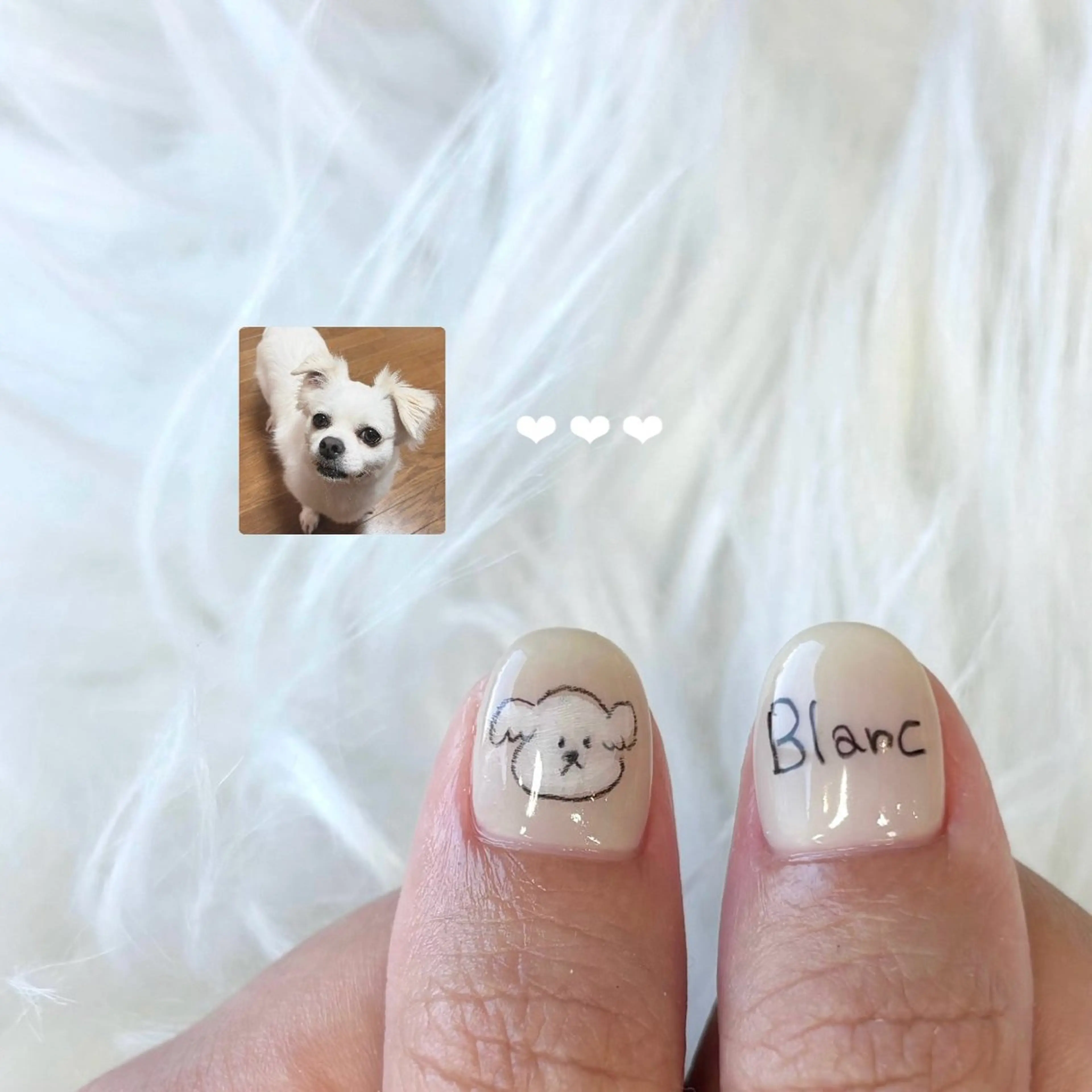 ネイル ネイルエルーシェ所属・Manatsu🌻 立川ネイリストのネイルデザイン