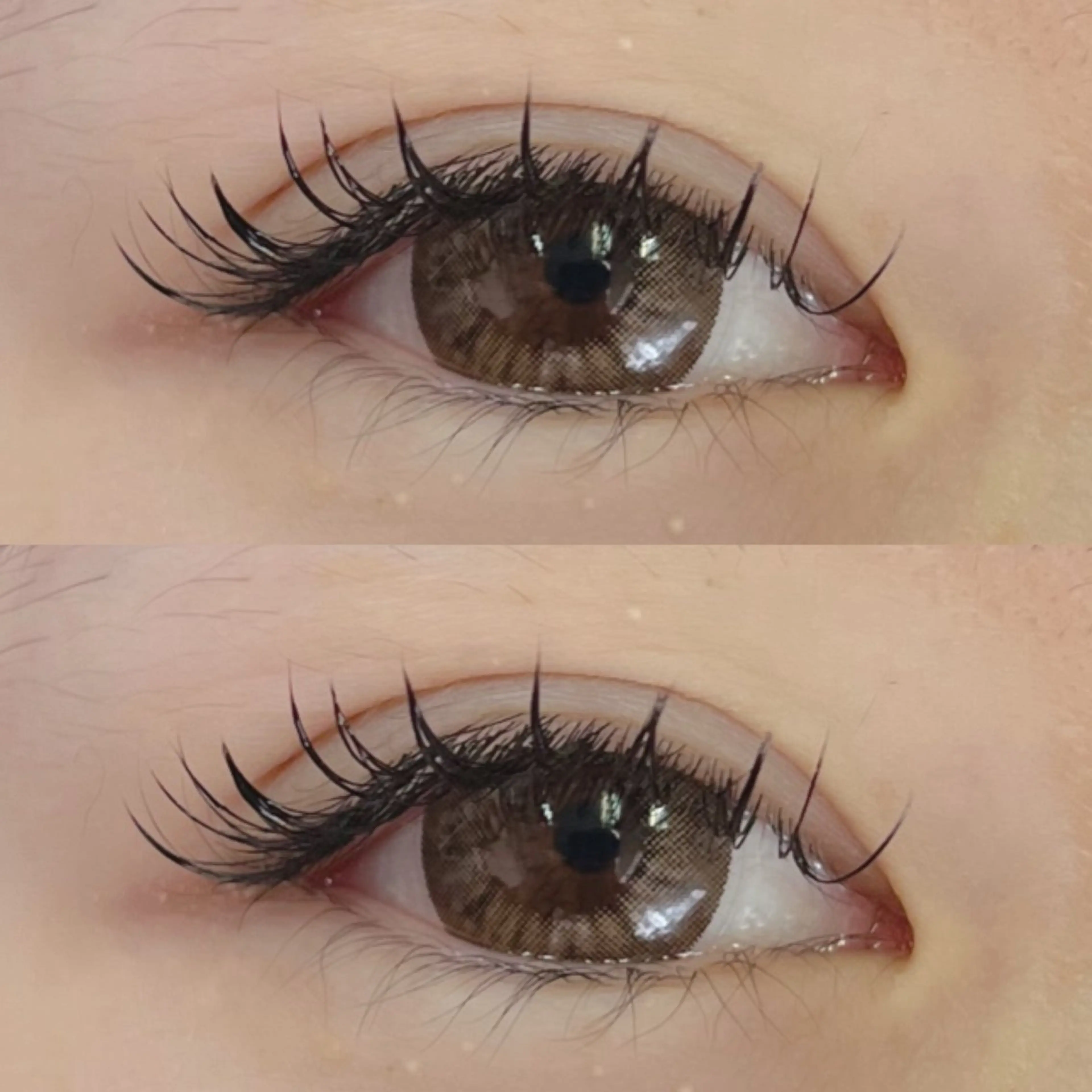 マツエク・マツパ フラットラッシュ マツエク Moe/韓国風/ 束感/キュート❤︎のマツエク・マツパデザイン