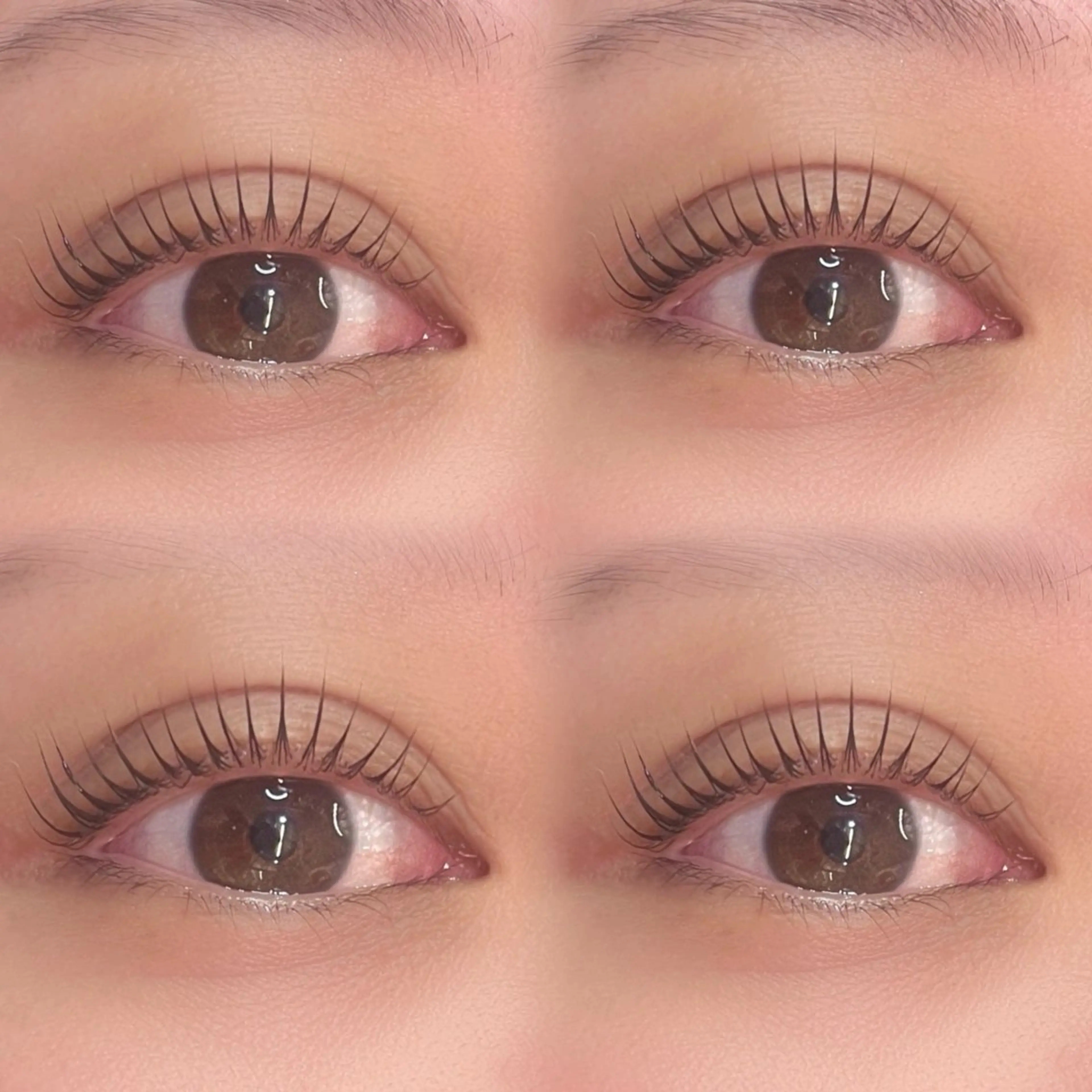 マツエク・マツパ 束感まつ毛 パリジェンヌラッシュリフト まつげパーマ 一重×まつ毛パーマ マツパ fein.Ruka ♡垢抜け美眉のマツエク・マツパデザイン