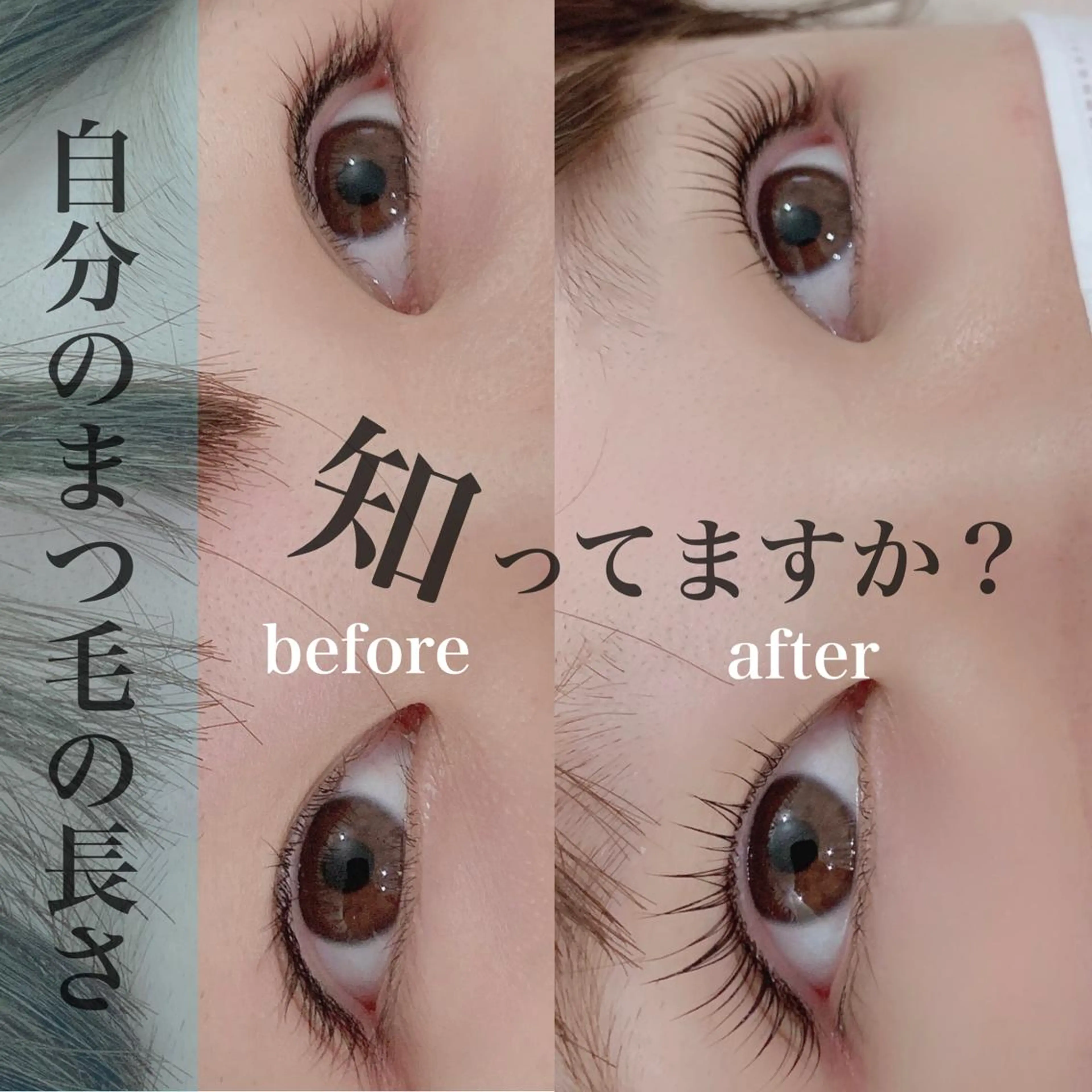 マツエク・マツパ マツパ eye beauty salonRippyのマツエク・マツパデザイン