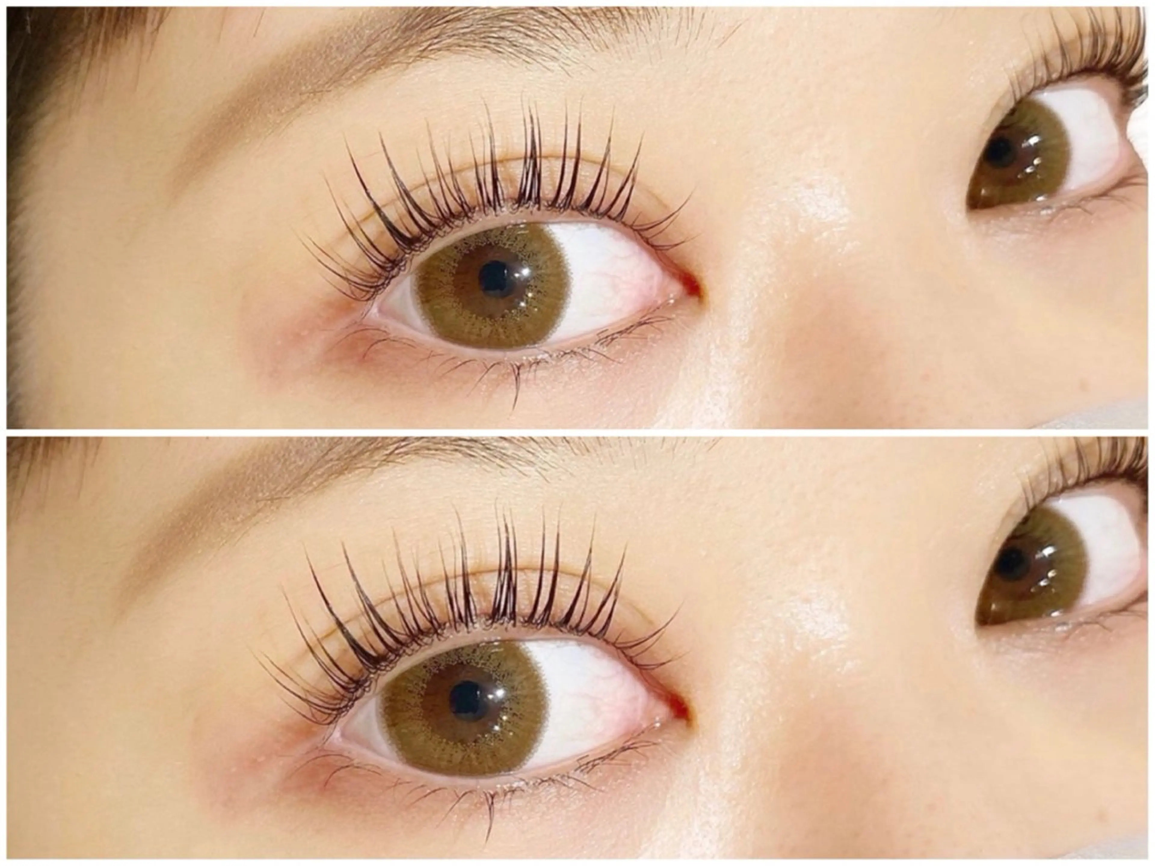 1日11:30 17:00限定🎀まつげパーマ(トリートメント付き)の写真