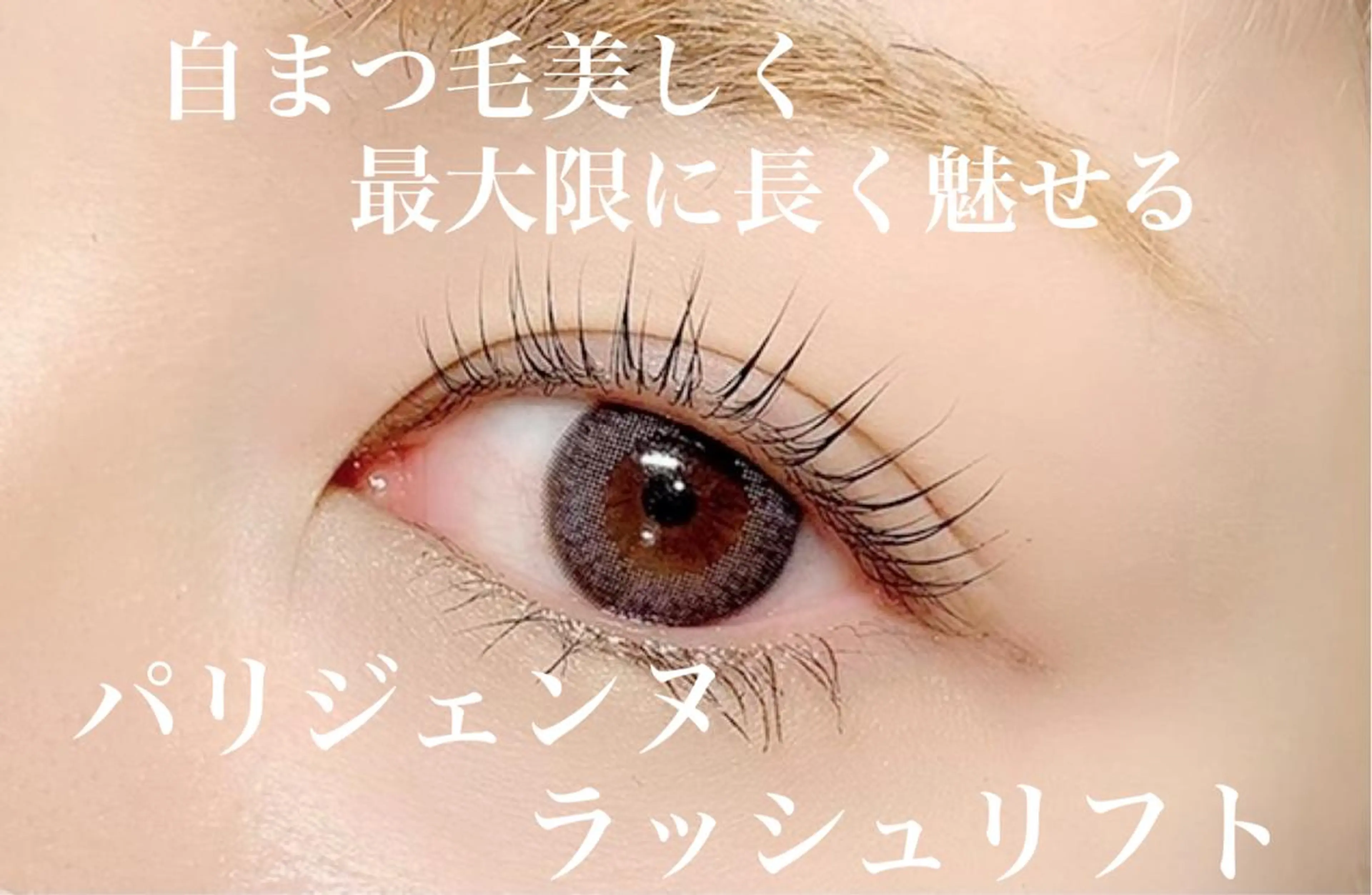 マツエク・マツパ パリジェンヌラッシュリフト マツパ _WHITE 南海難波店のマツエク・マツパデザイン