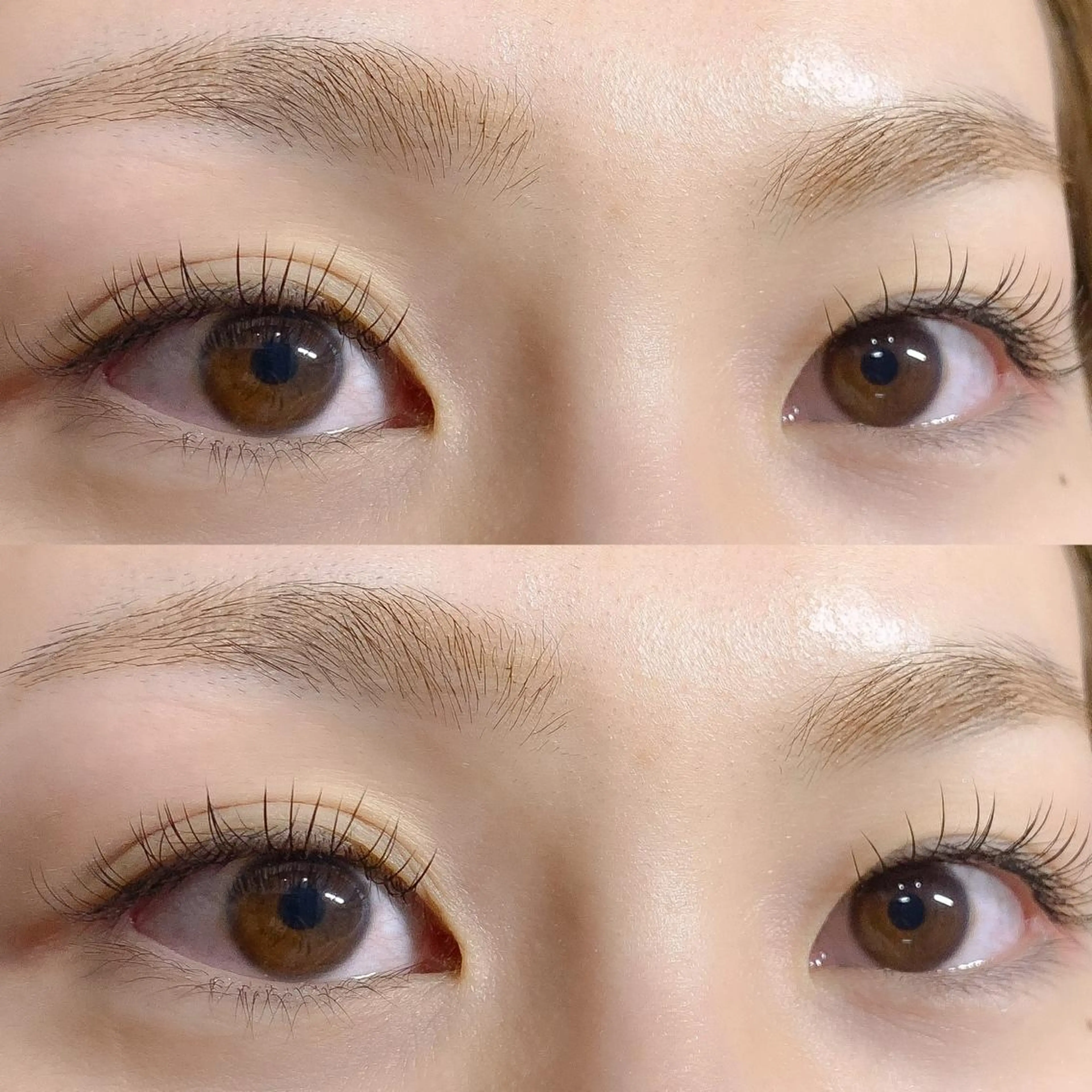 マツエク・マツパ フラットラッシュ MAQUIAむつ店 成田の眉毛・アイブロウイメージ