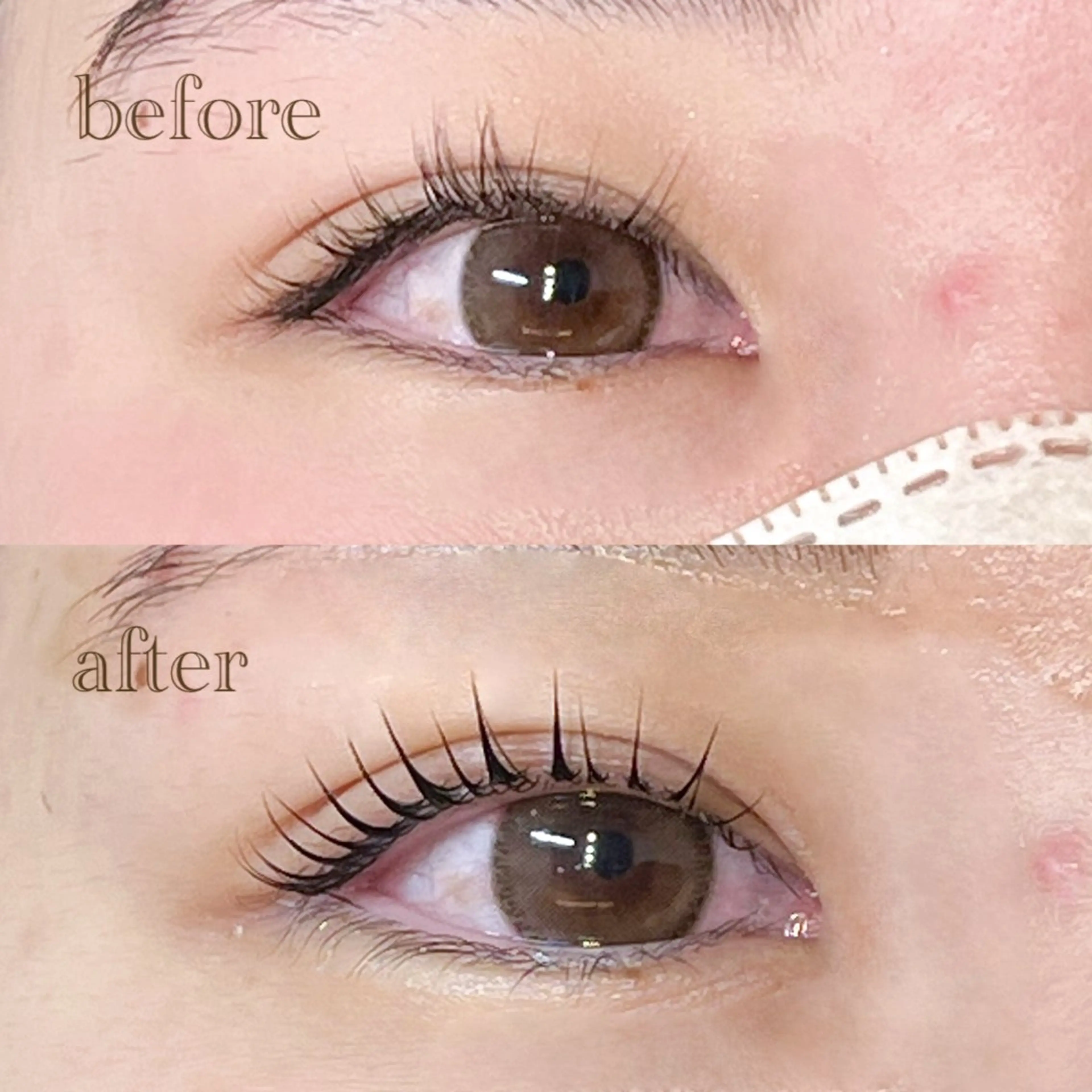 マツエク・マツパ 仙台/束感まつげ💐 🎀Mizukiのマツエク・マツパデザイン