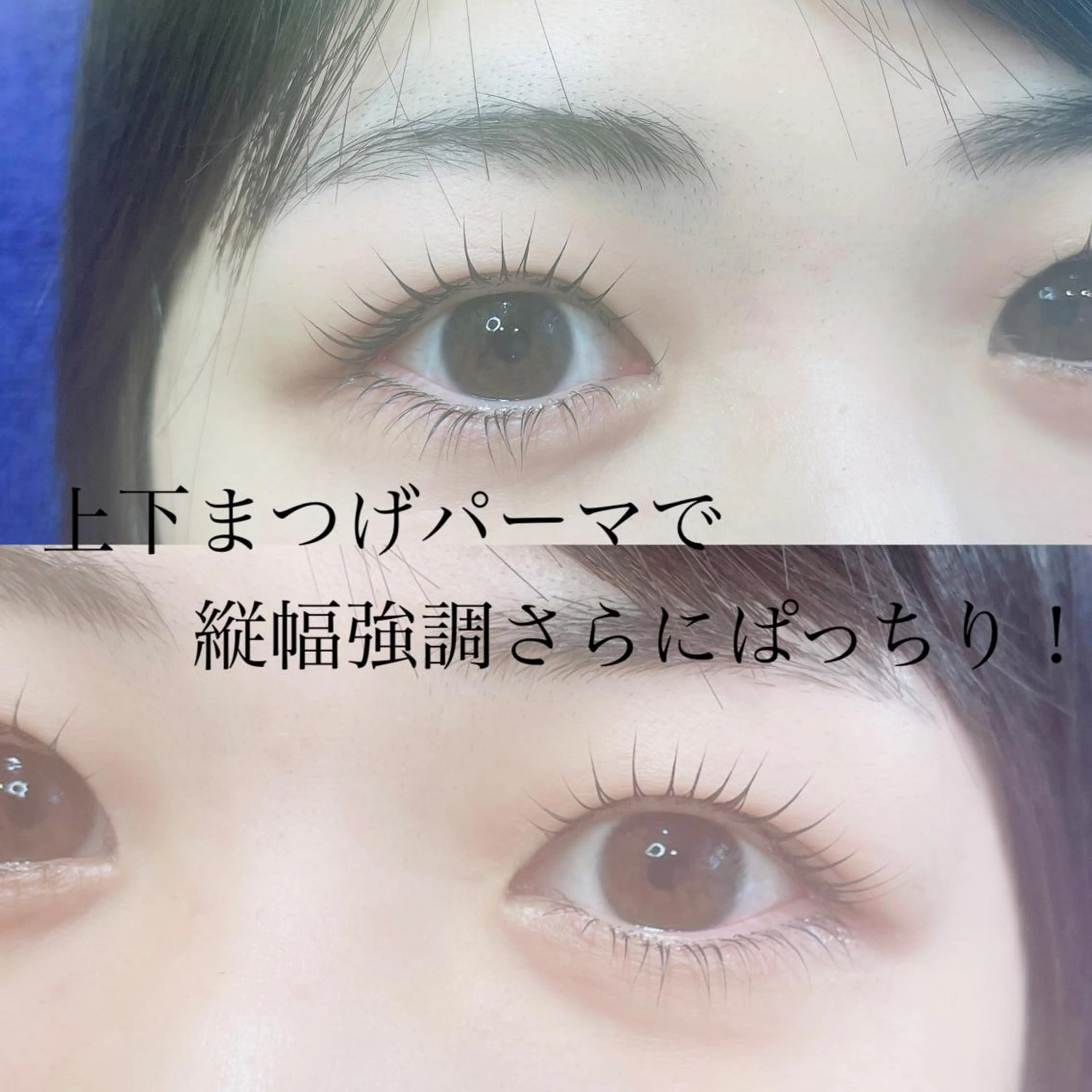 マツエク・マツパ まつげパーマ 下まつげエクステ マツエク SEALA 高石店所属・SEALA 高石の眉毛・アイブロウイメージ