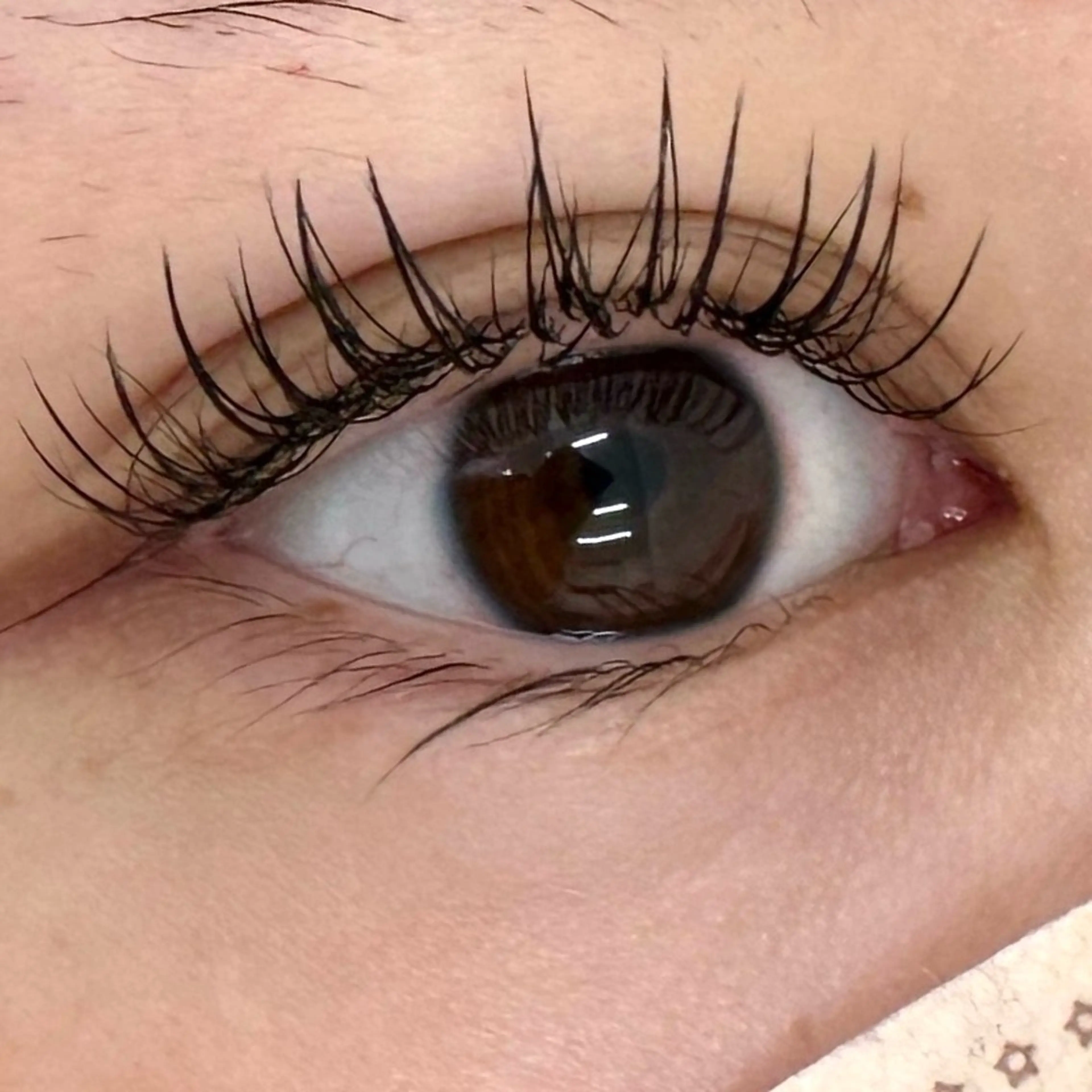 マツエク・マツパ フラットラッシュ 🌟メモト 西宮北口🌟のマツエク・マツパデザイン