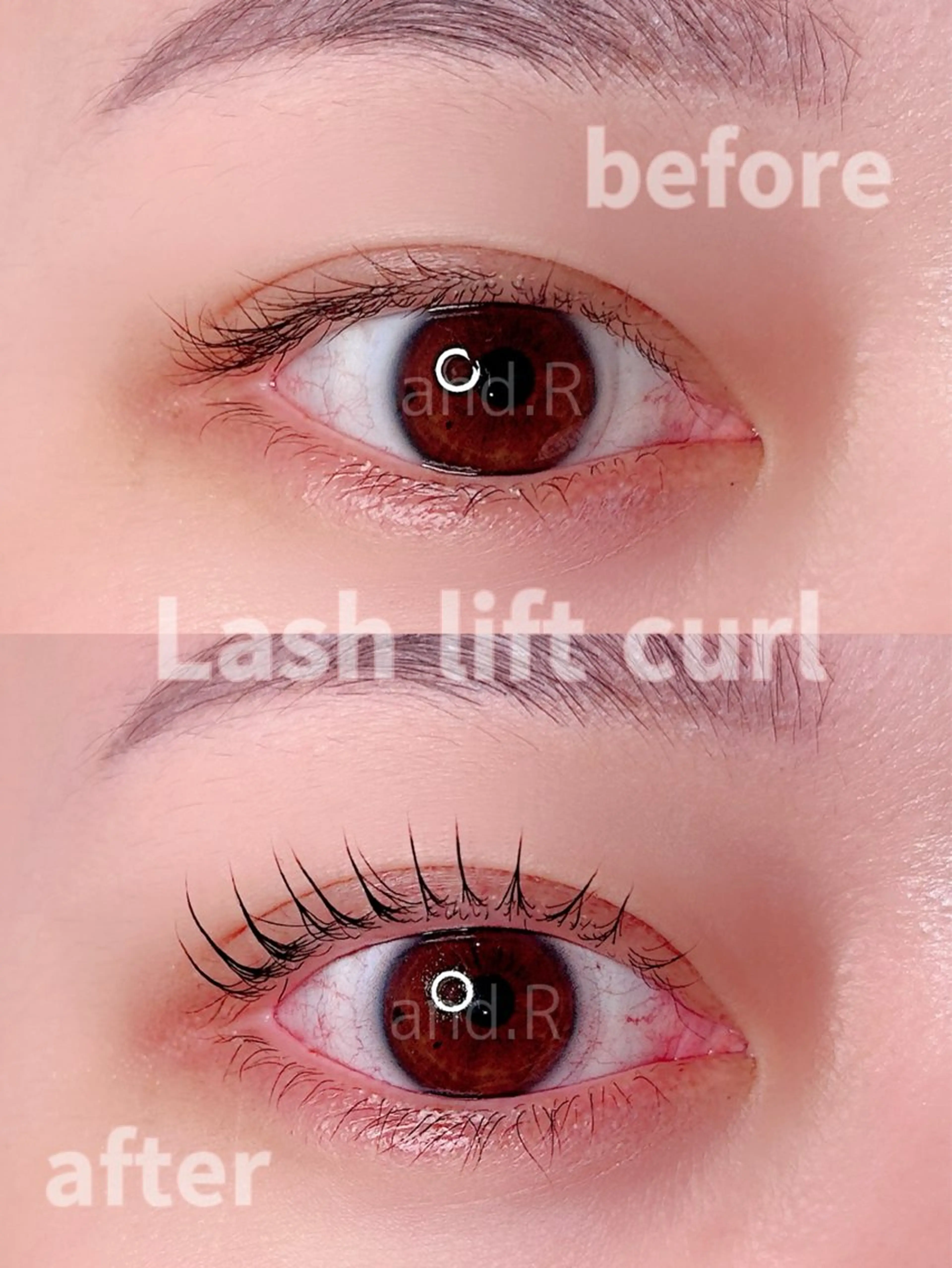 マツエク・マツパ 【and.R 】齋藤 惠女のマツエク・マツパデザイン