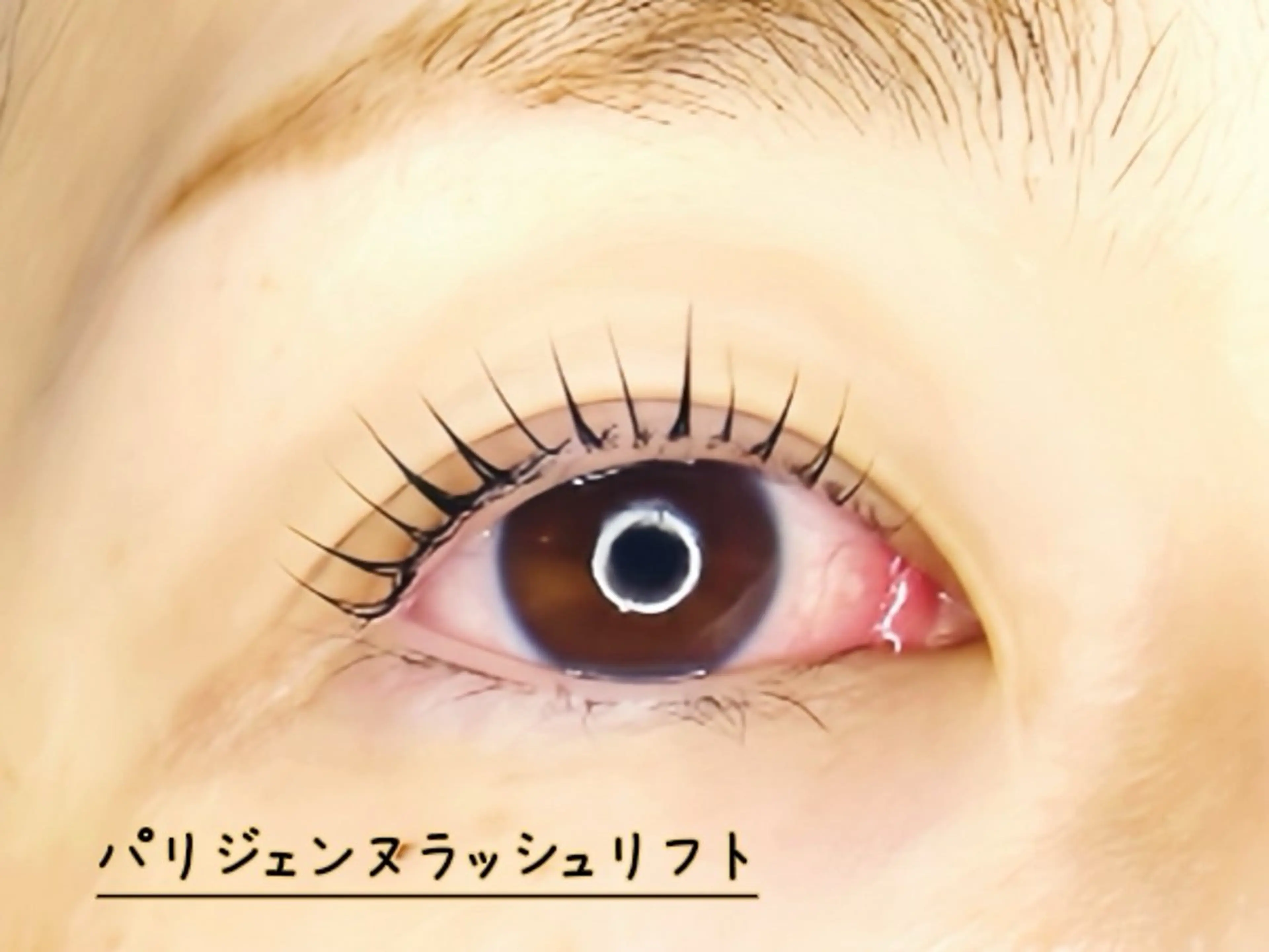 マツエク・マツパ パリジェンヌラッシュリフト CAWS /武庫之荘 北脇のマツエク・マツパデザイン