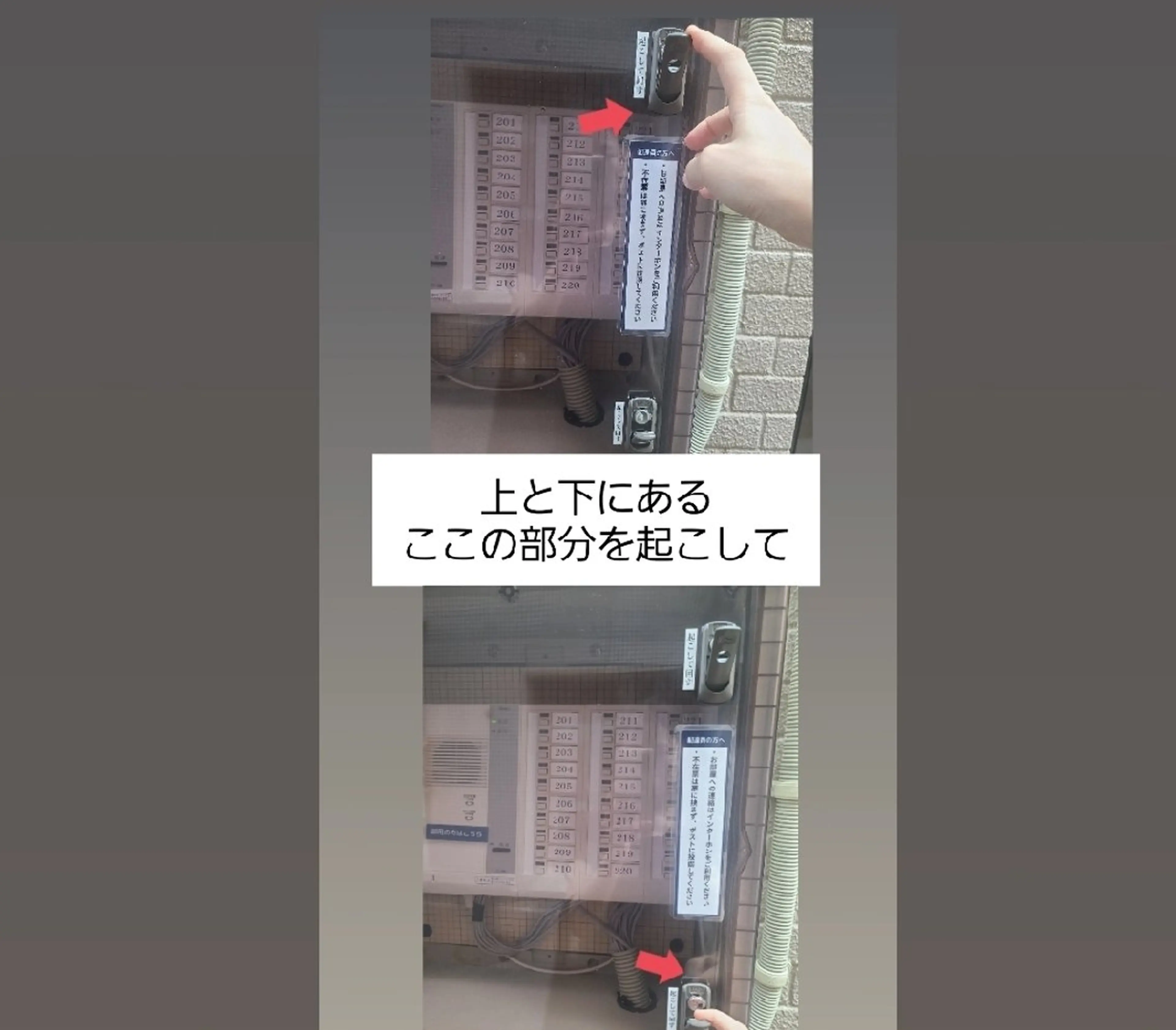 Adagio（アダージョ）所属・Adagio 青戸 香奈のその他イメージ