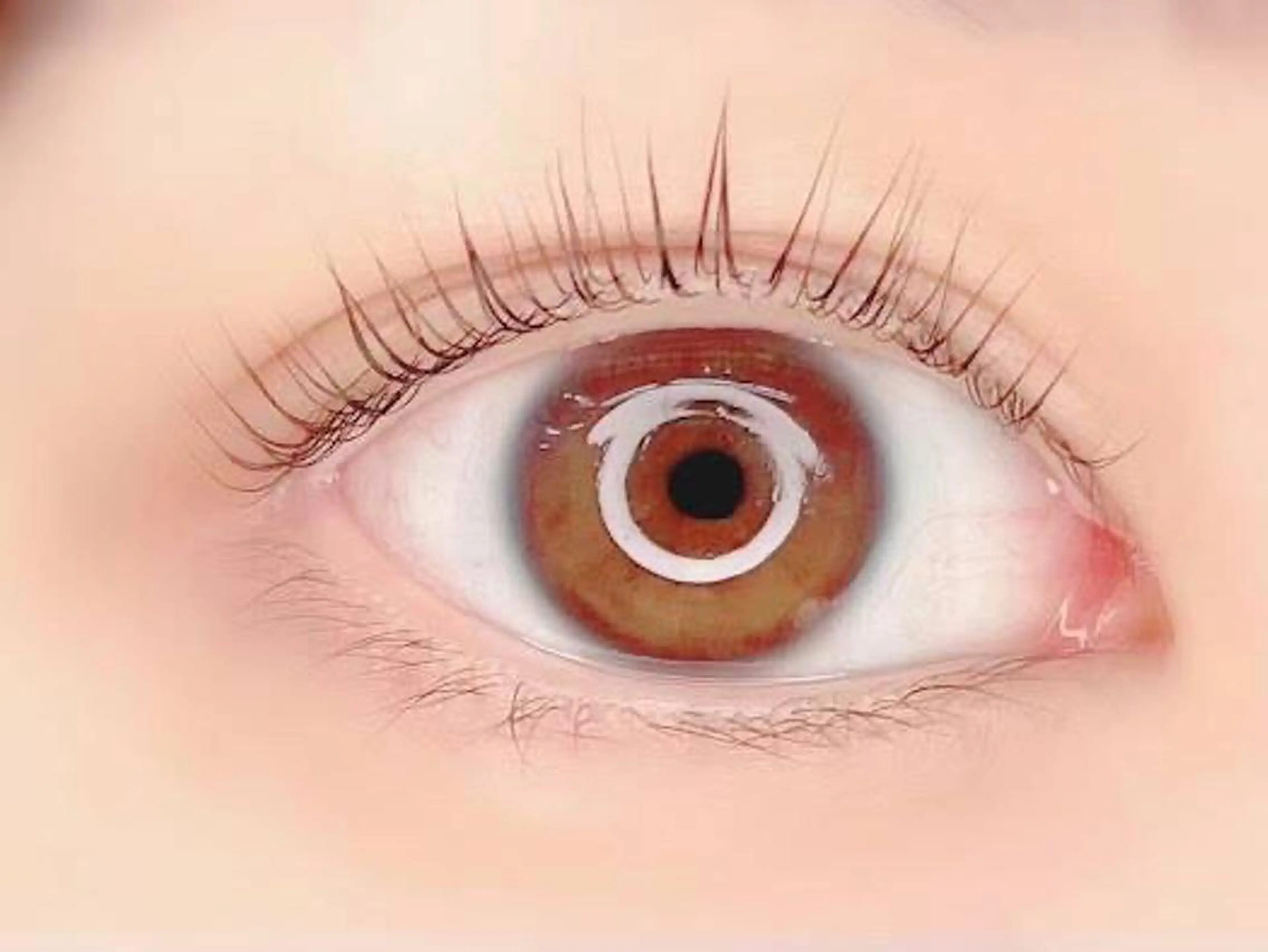 マツエク・マツパ まつげエクステ専門店RUBIA伏見桃山店所属・RUBIA ルビアの眉毛・アイブロウイメージ