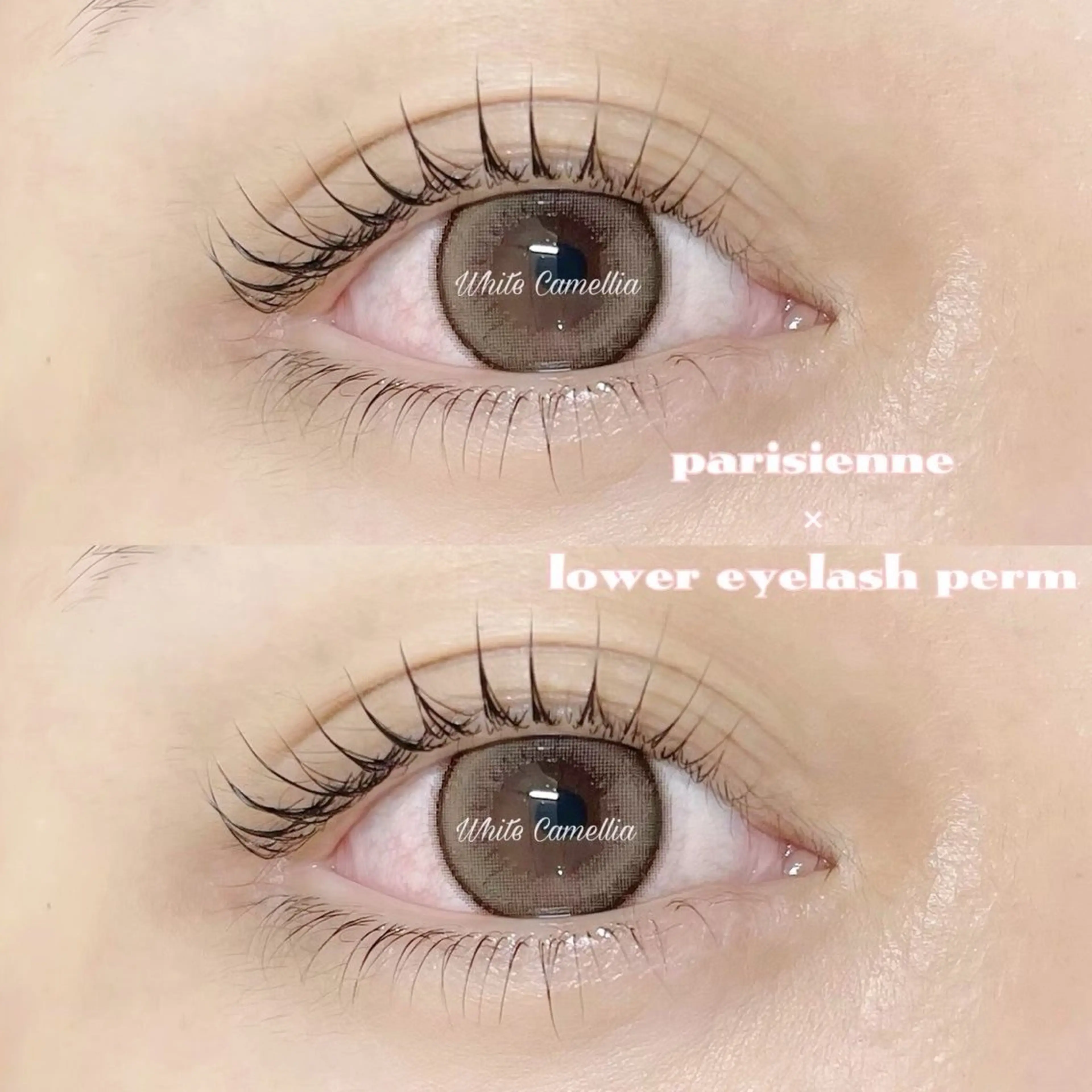 マツエク・マツパ Nanami 🎀のマツエク・マツパデザイン