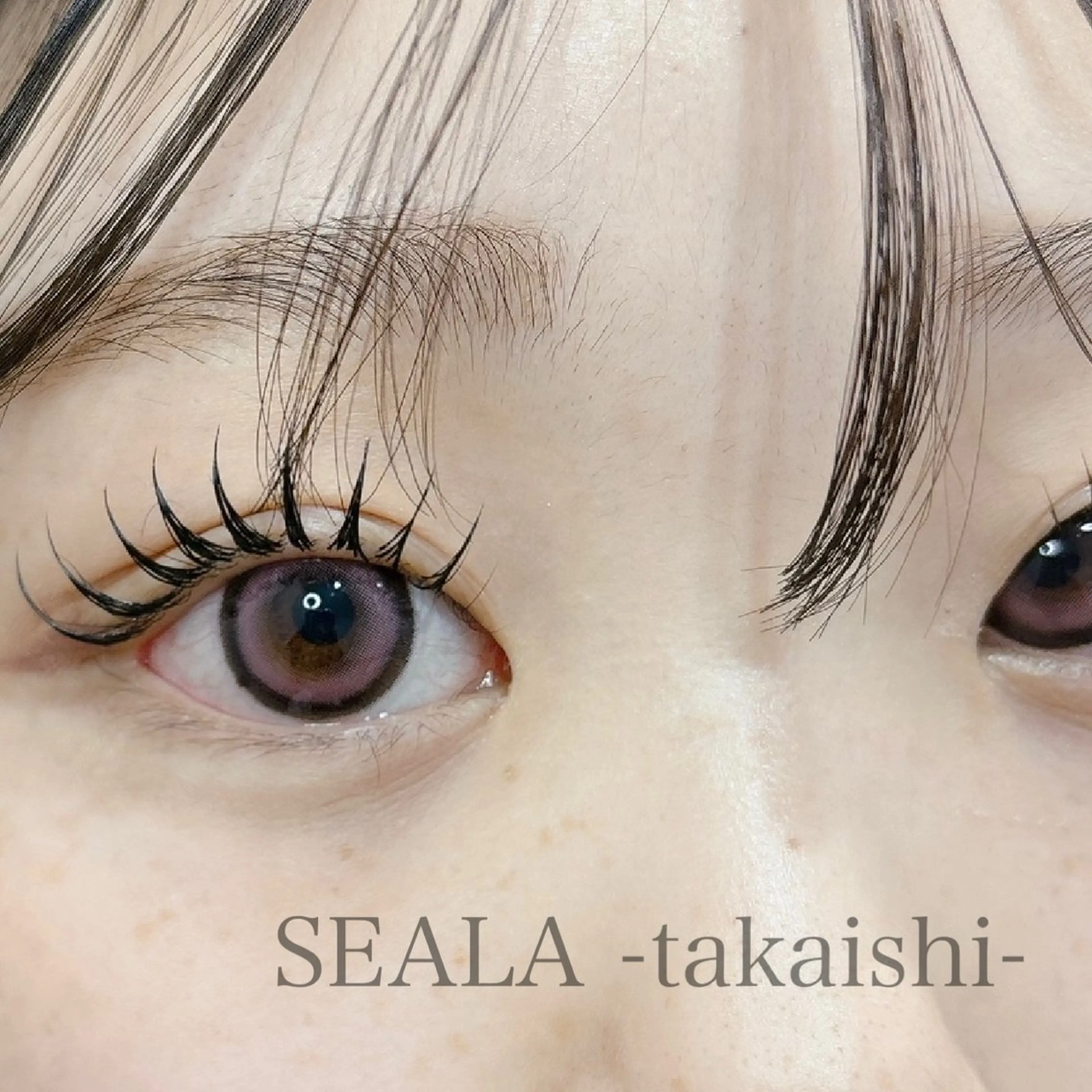 マツエク・マツパ Dカール マツエク SEALA 高石店所属・SEALA 高石の眉毛・アイブロウイメージ