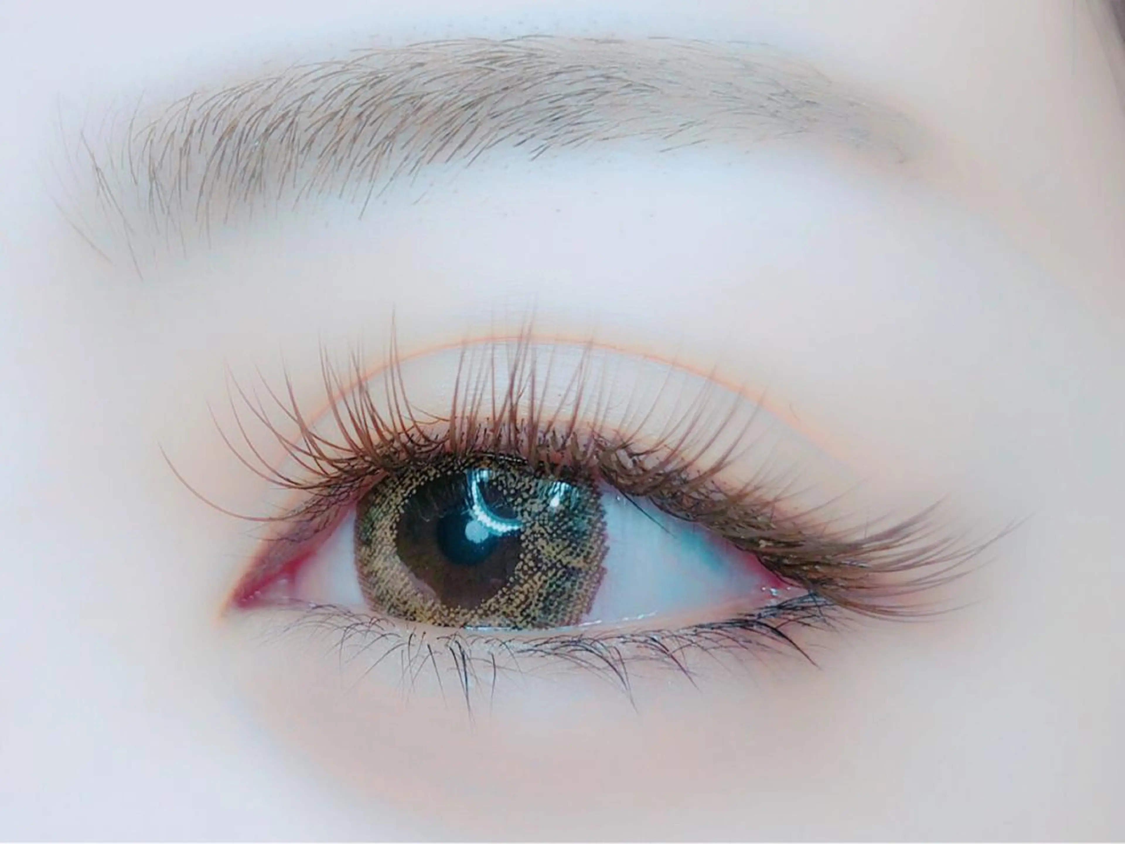 【おすすめ✨】フラットラッシュ100本♡オフ無料の写真