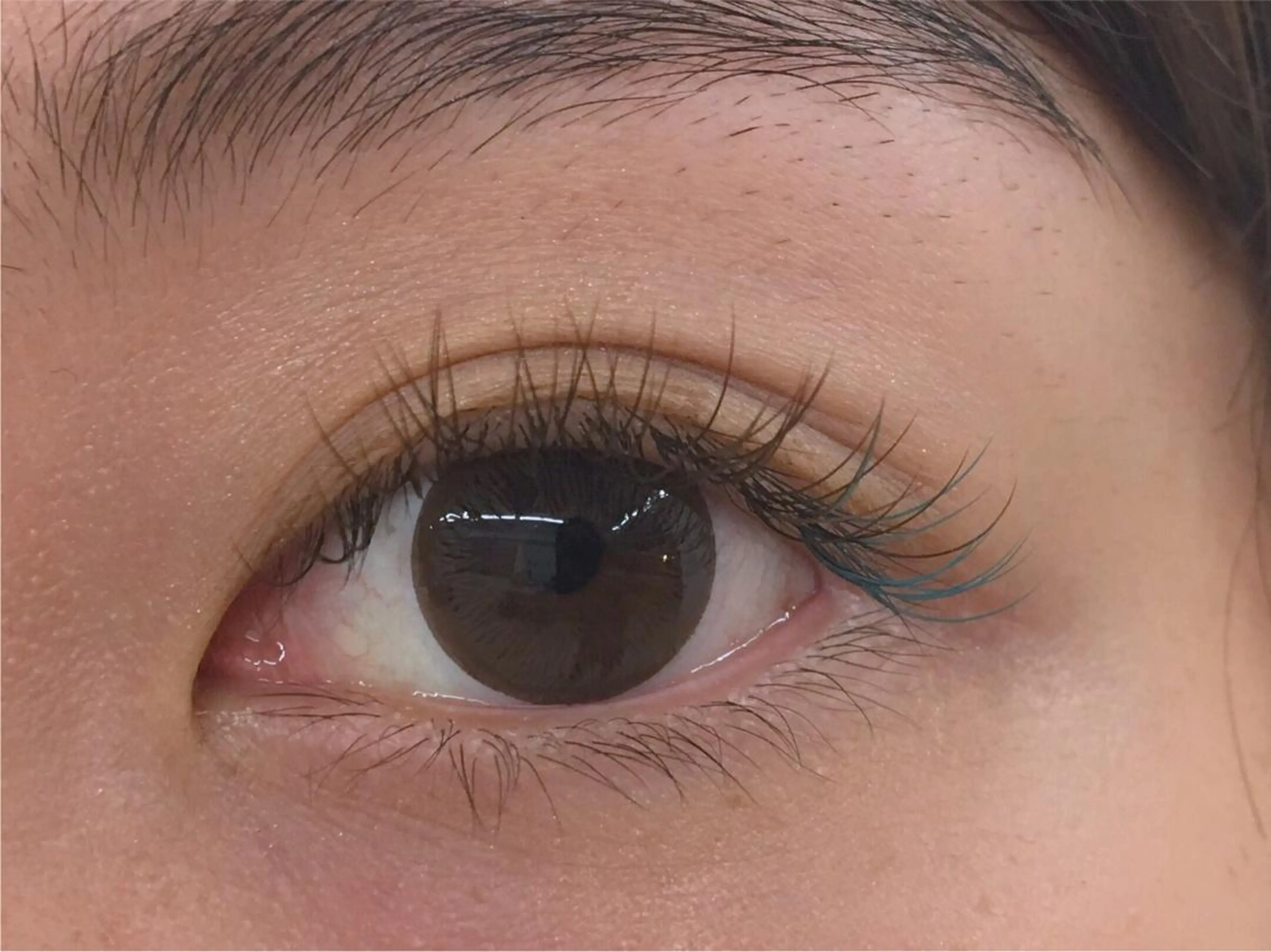 マツエク・マツパ eyelash NATURE所属・さき さきのマツエク・マツパデザイン