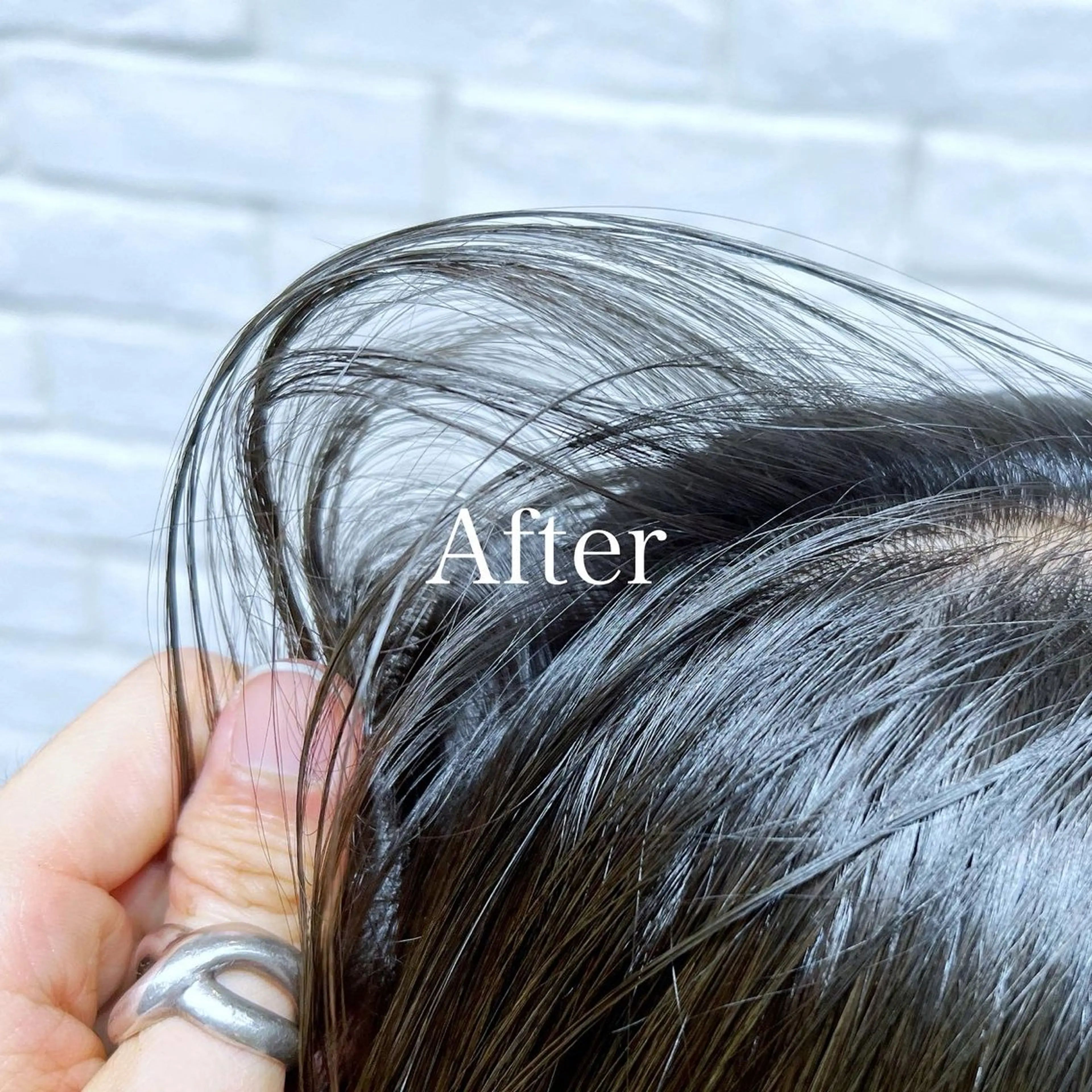 ミディアム カラー レディースヘア💫 加藤たいが🐯のヘアスタイル