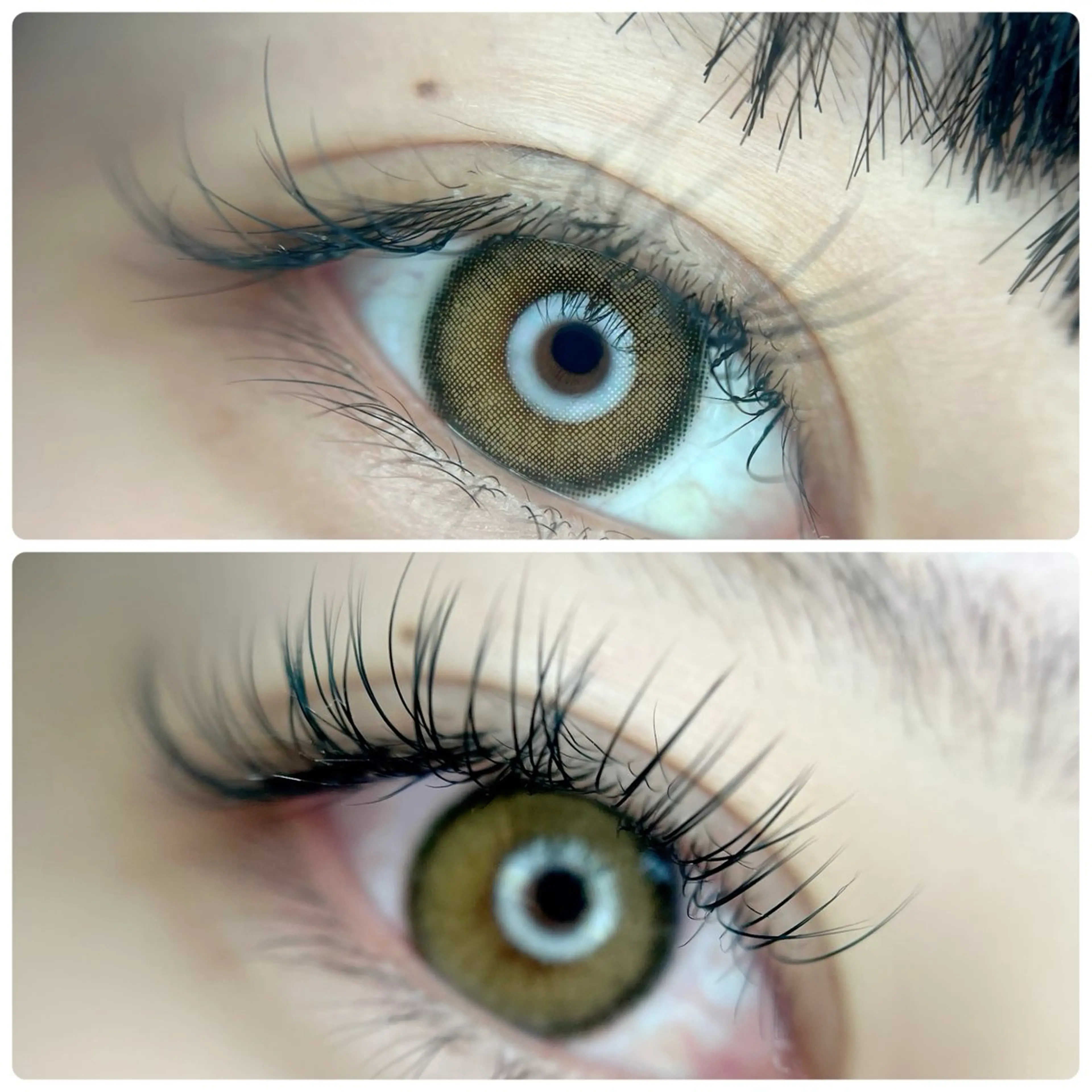 マツエク・マツパ Salon Door's所属・まつげまゆげネイル Mamiiのマツエク・マツパデザイン