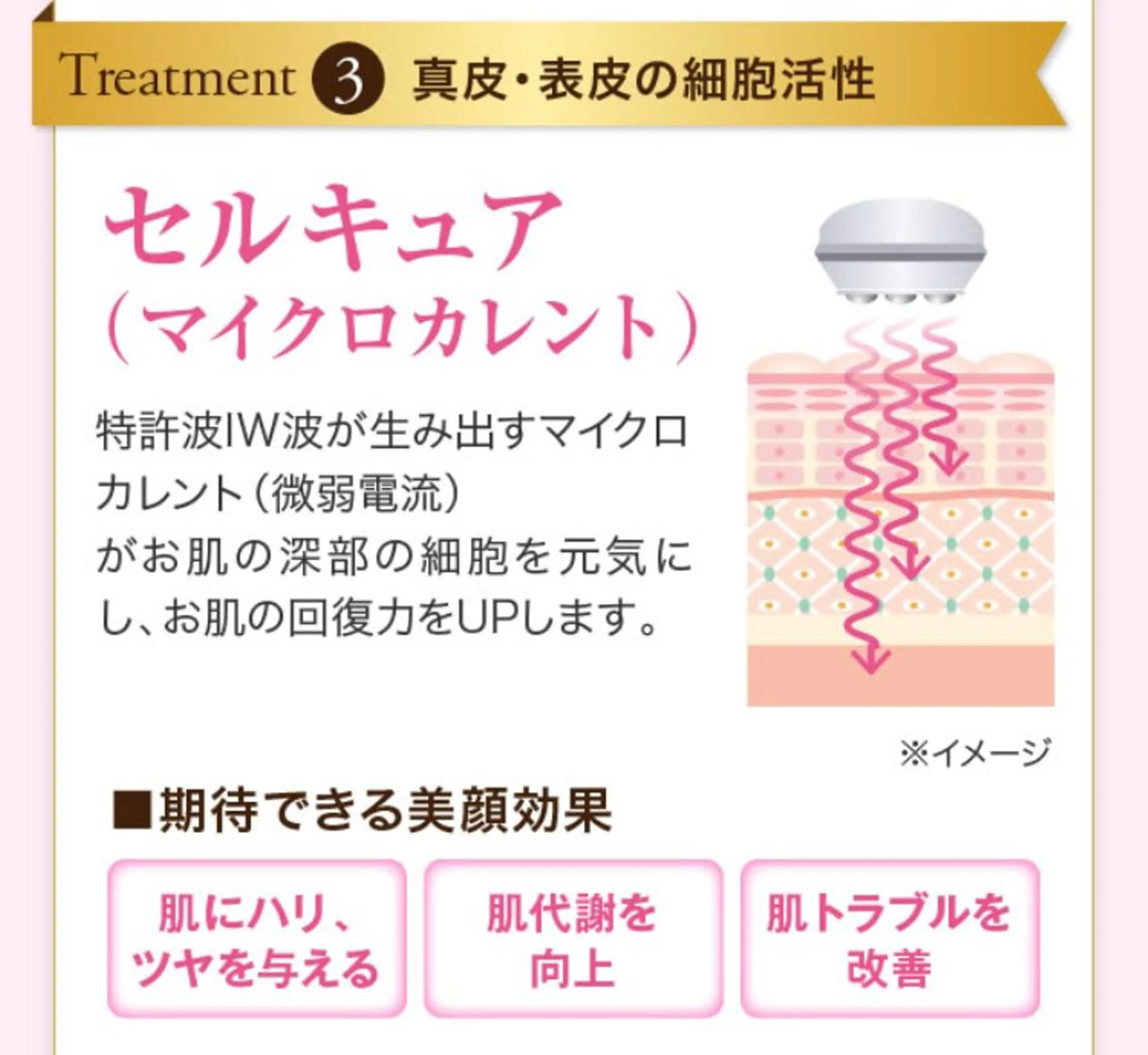 初めての方限定！セルキュア4Tプラス！コラーゲン導入コースの写真