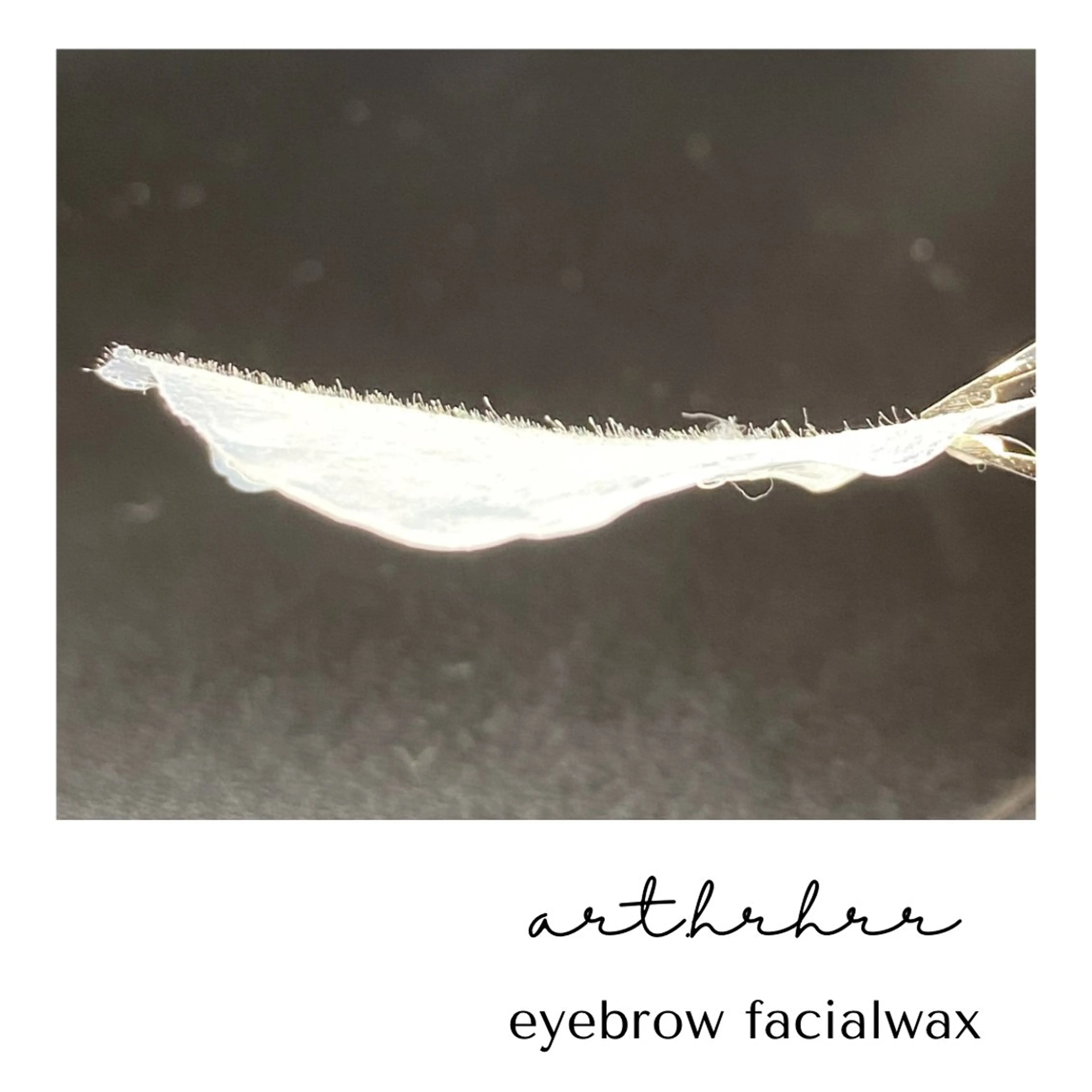 ワックス脱毛 その他(アイブロウ) 眉毛&フェイス WAX専門ハルヒラリの眉毛・アイブロウイメージ