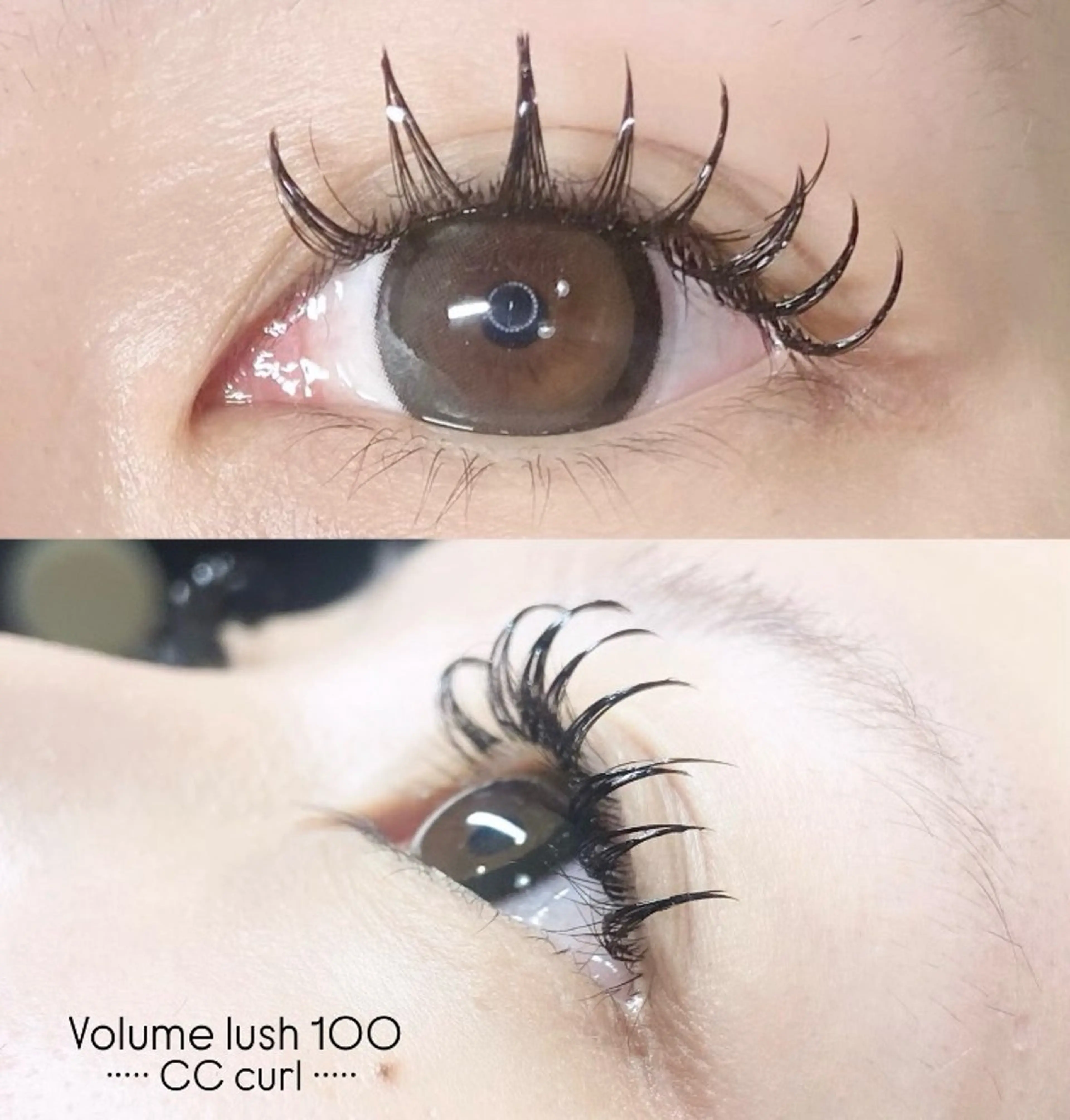 マツエク・マツパ LEDエクステ専門店 Fedis 京橋のマツエク・マツパデザイン