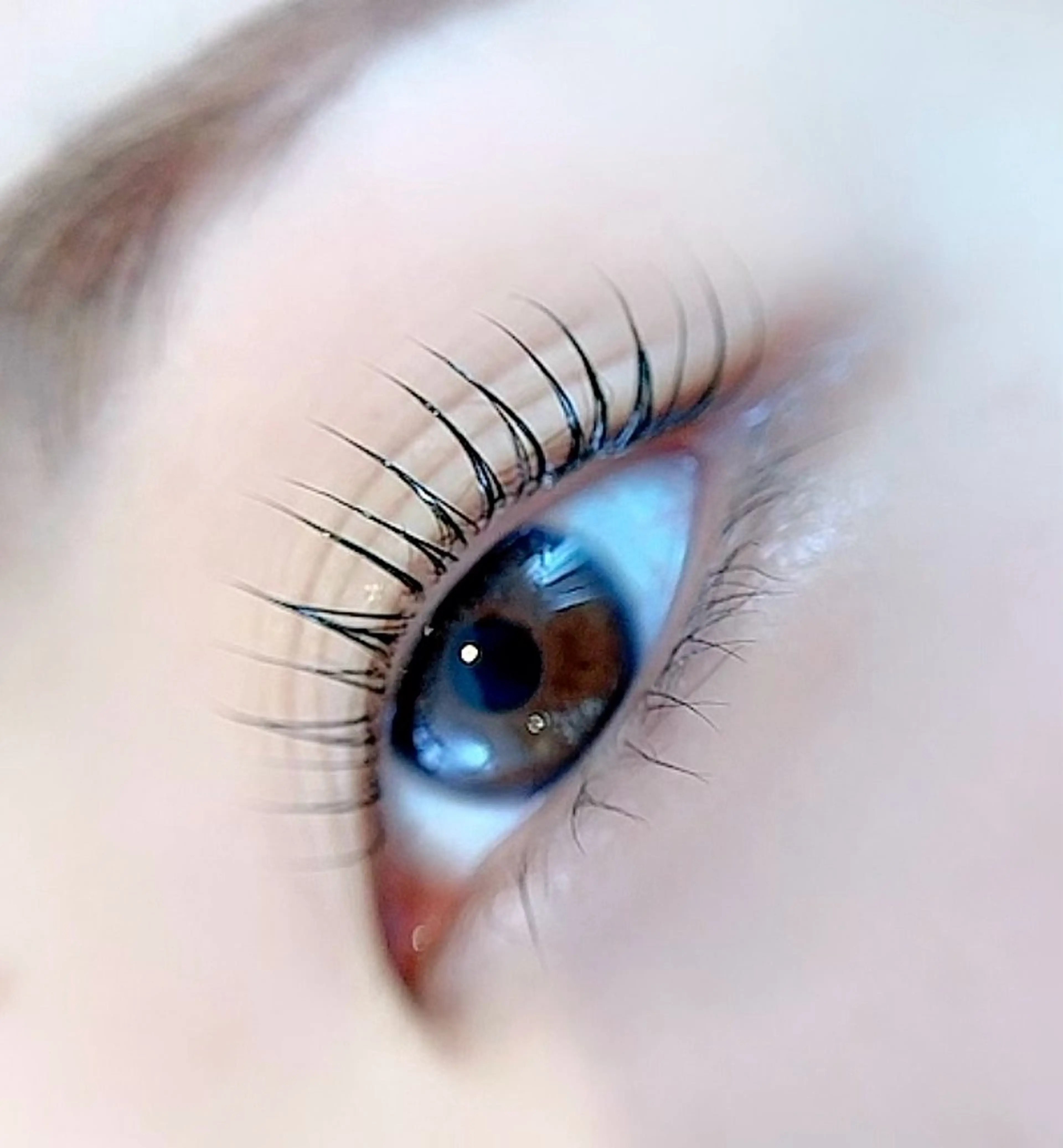 まつ毛パーマの写真