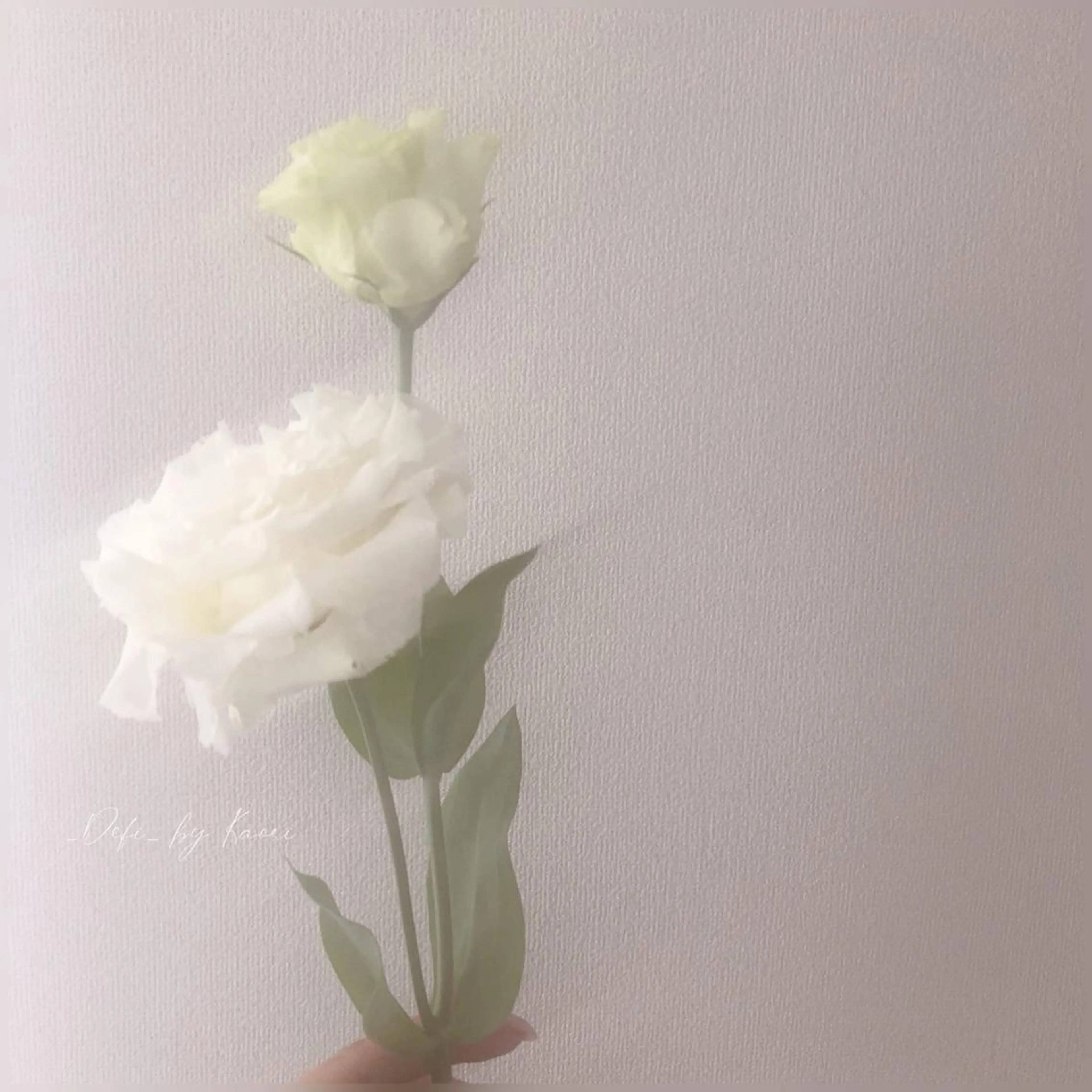 _Defi_ by Kaoriのネイルデザイン