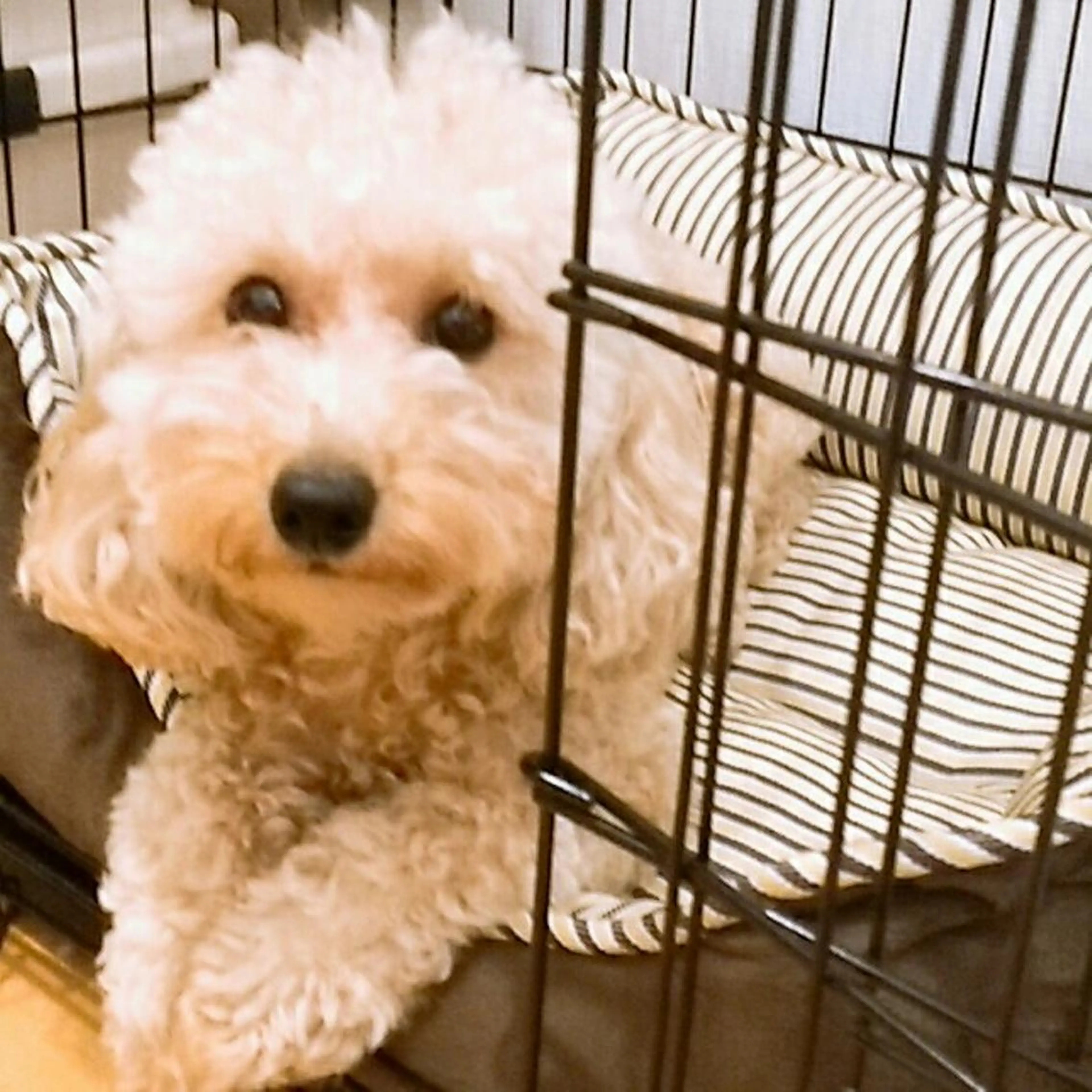 ネイル MIU  Nail所属・MIU  nailのネイルデザイン