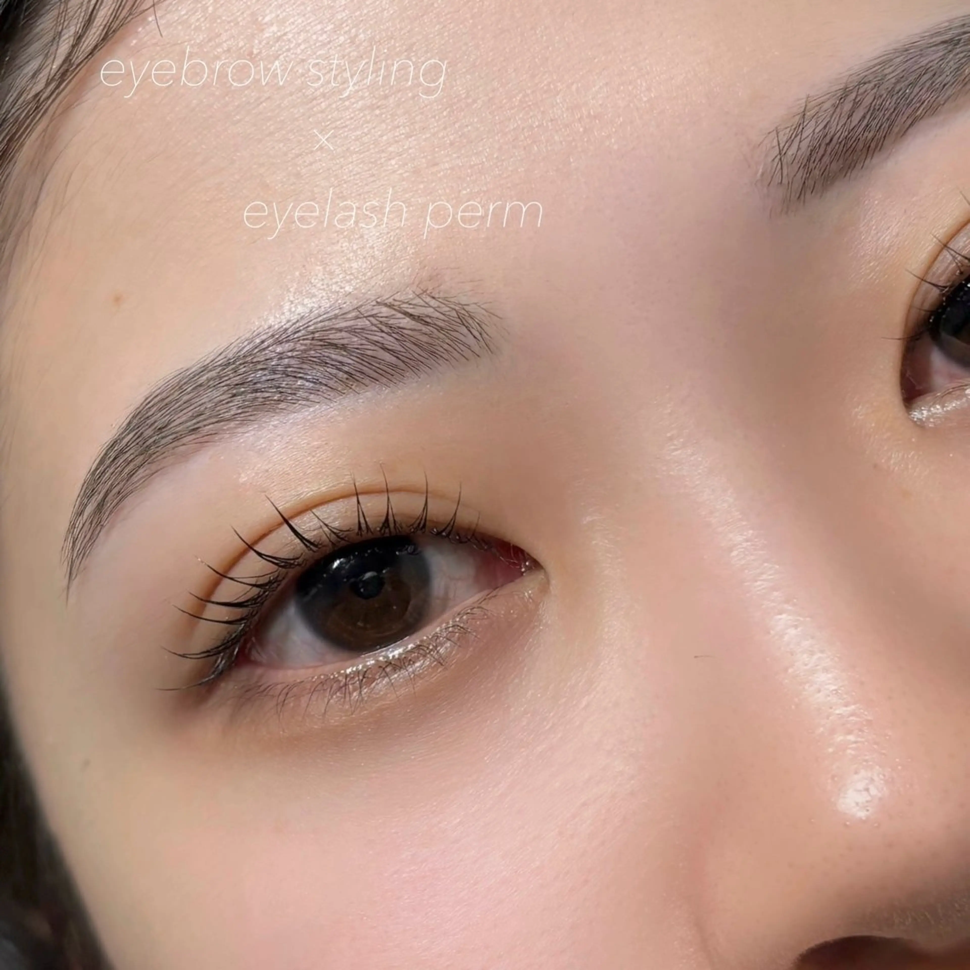 【お得なセットメニュー❣️】アイブロウWAX🪞 &コスメラッシュリフト⚜️の写真