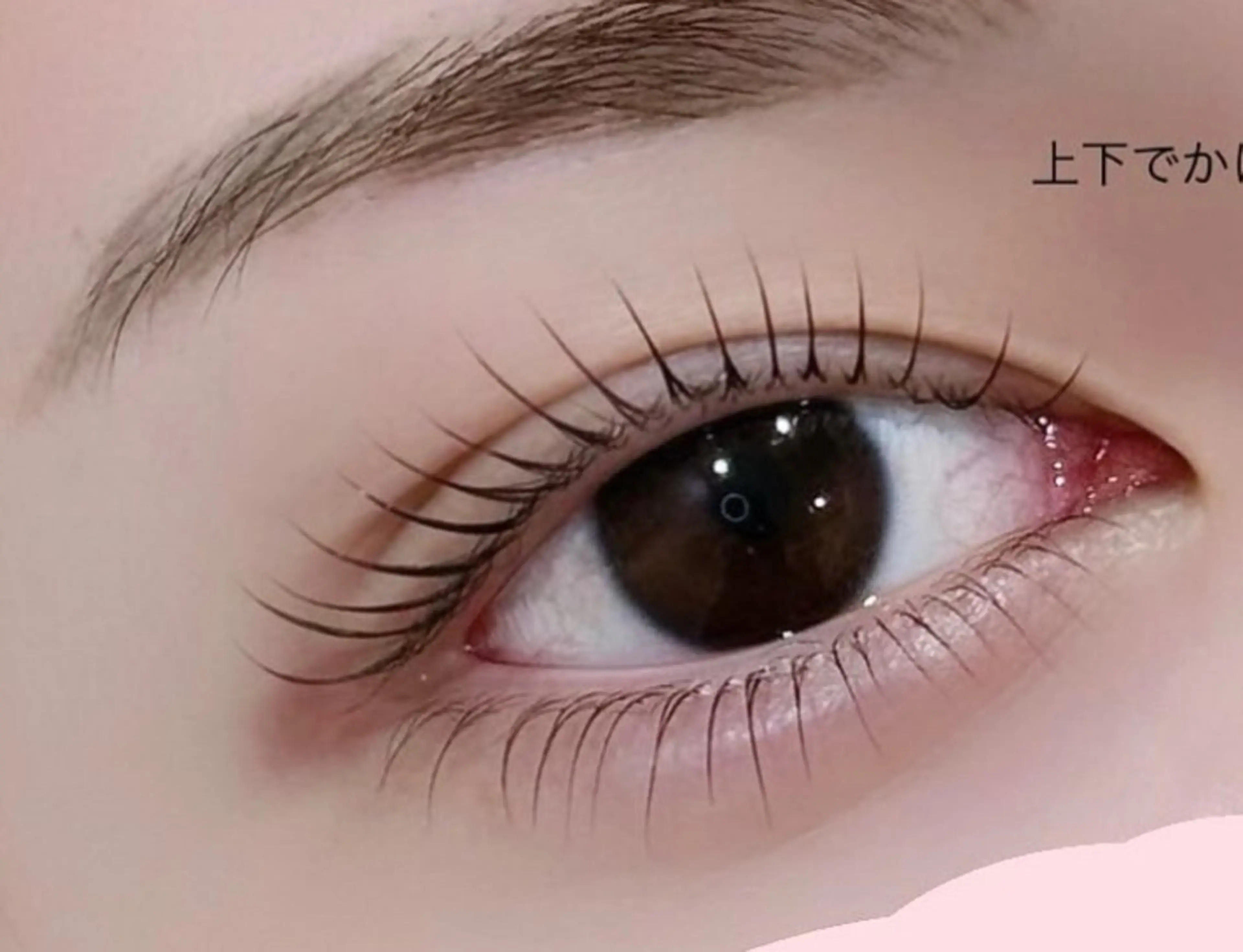 マツエク・マツパ マツパ マックス サロンのマツエク・マツパデザイン