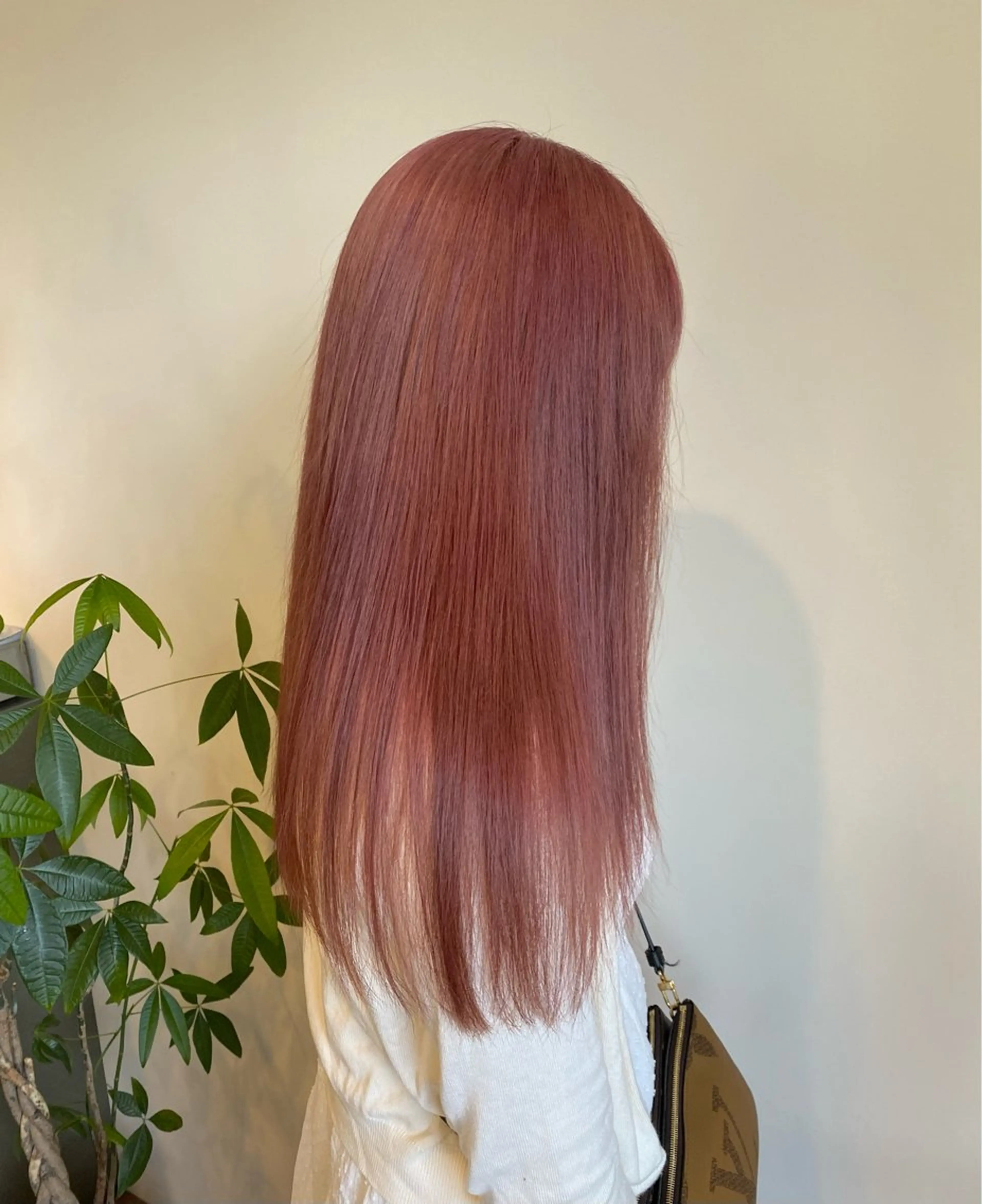 ロング カラー ベージュカラー ピンクカラー ピンクベージュ ヘアカラー Ludwig AIRIのヘアスタイル