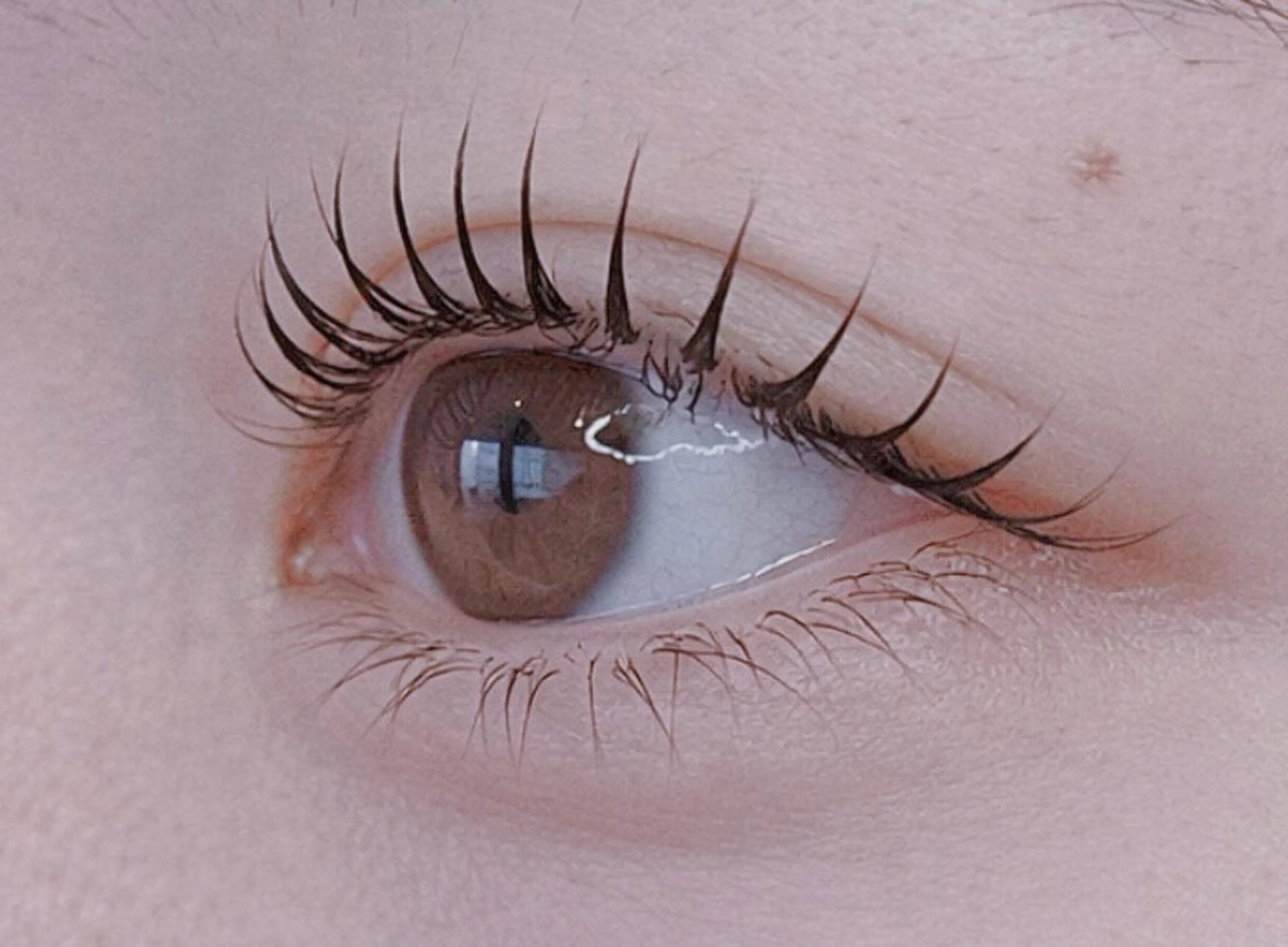 16時半⭐️似合わせパーマ✨1時間半✨注意事項を必ずお読みくださいの写真