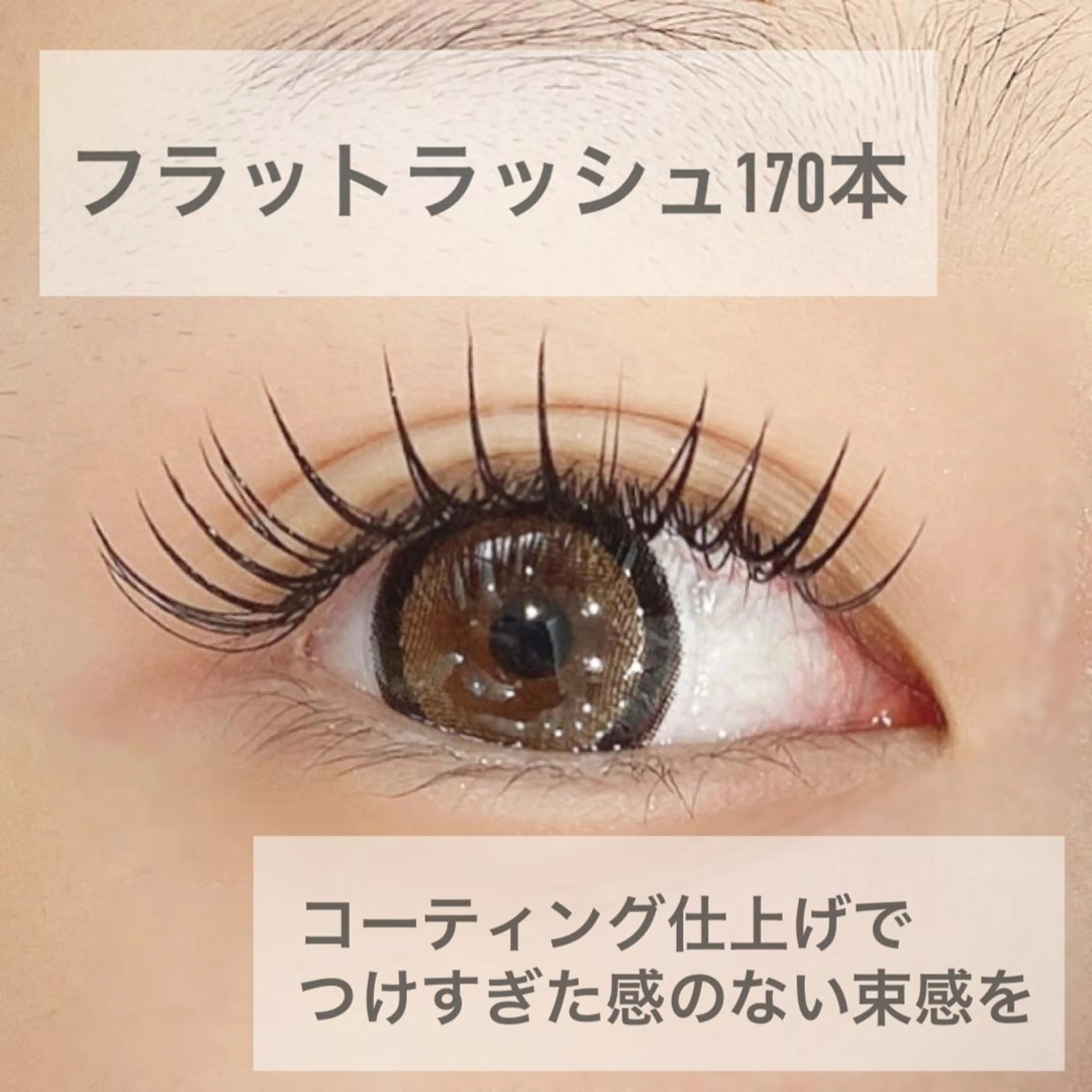 「3回までご利用可能！」フラットラッシュ160本迄の写真